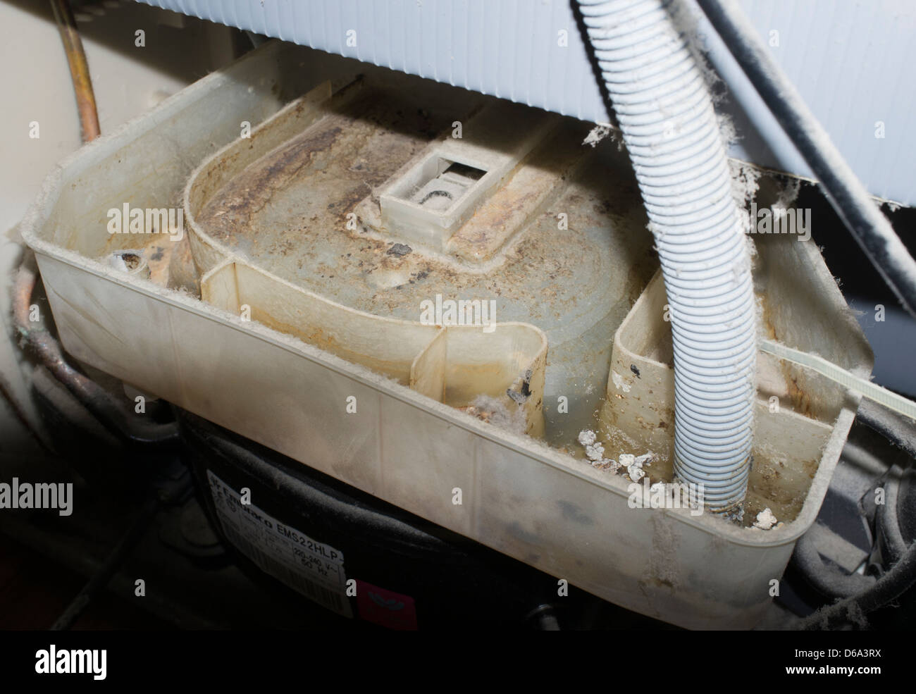 Frigorifero sporco, ammuffito e ammuffito condensano la vaschetta  dell'evaporatore dell'acqua Foto stock - Alamy