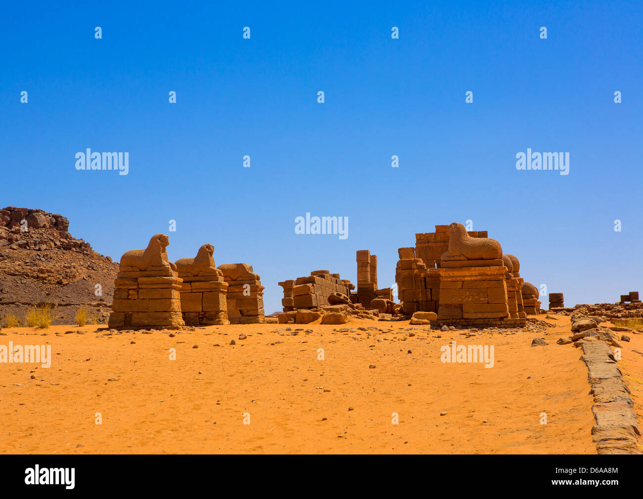 Rams statue nel tempio di Amon arieti, Naga Sito, Sudan Foto Stock