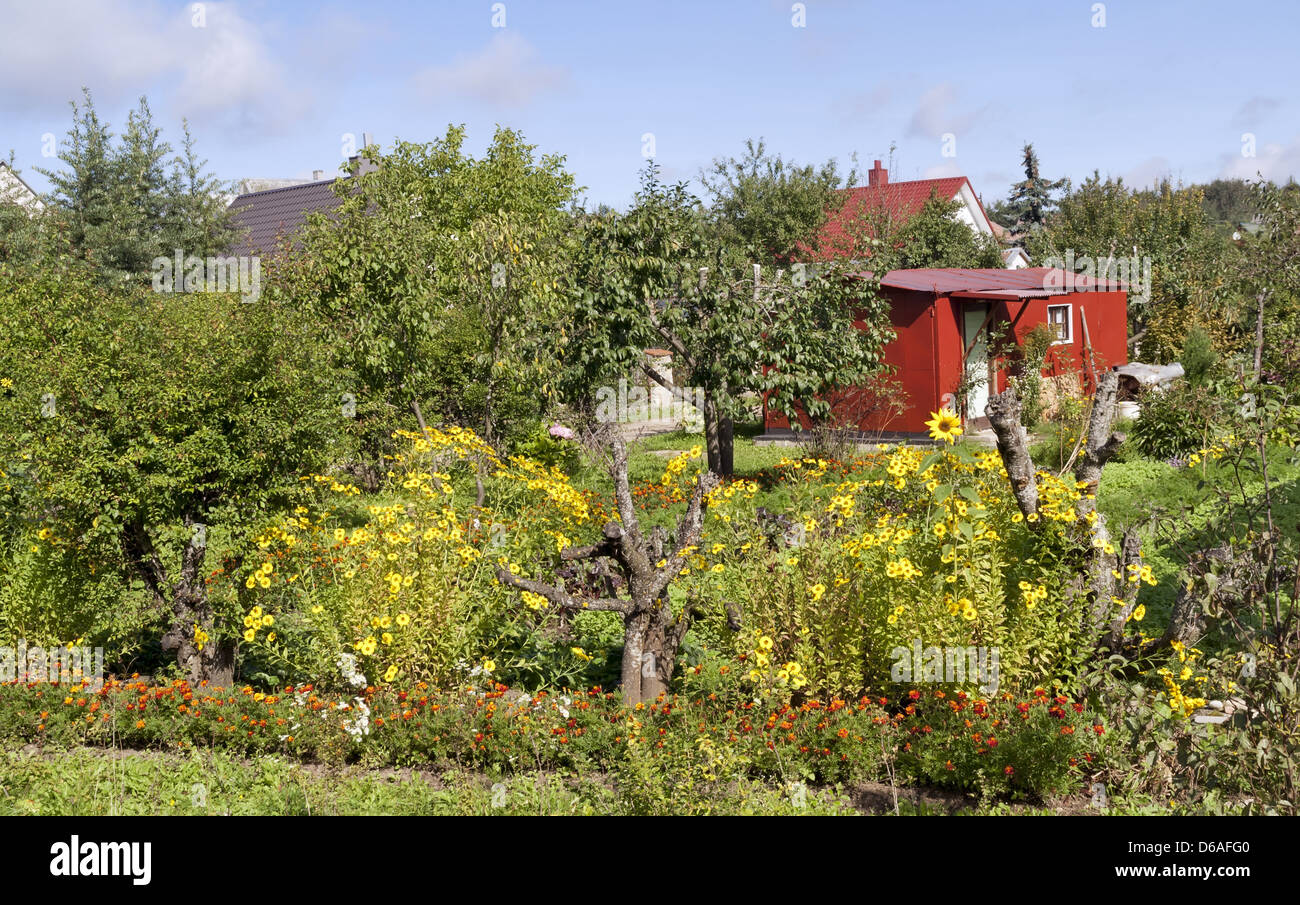 Bellissimo giardino europeo Foto Stock