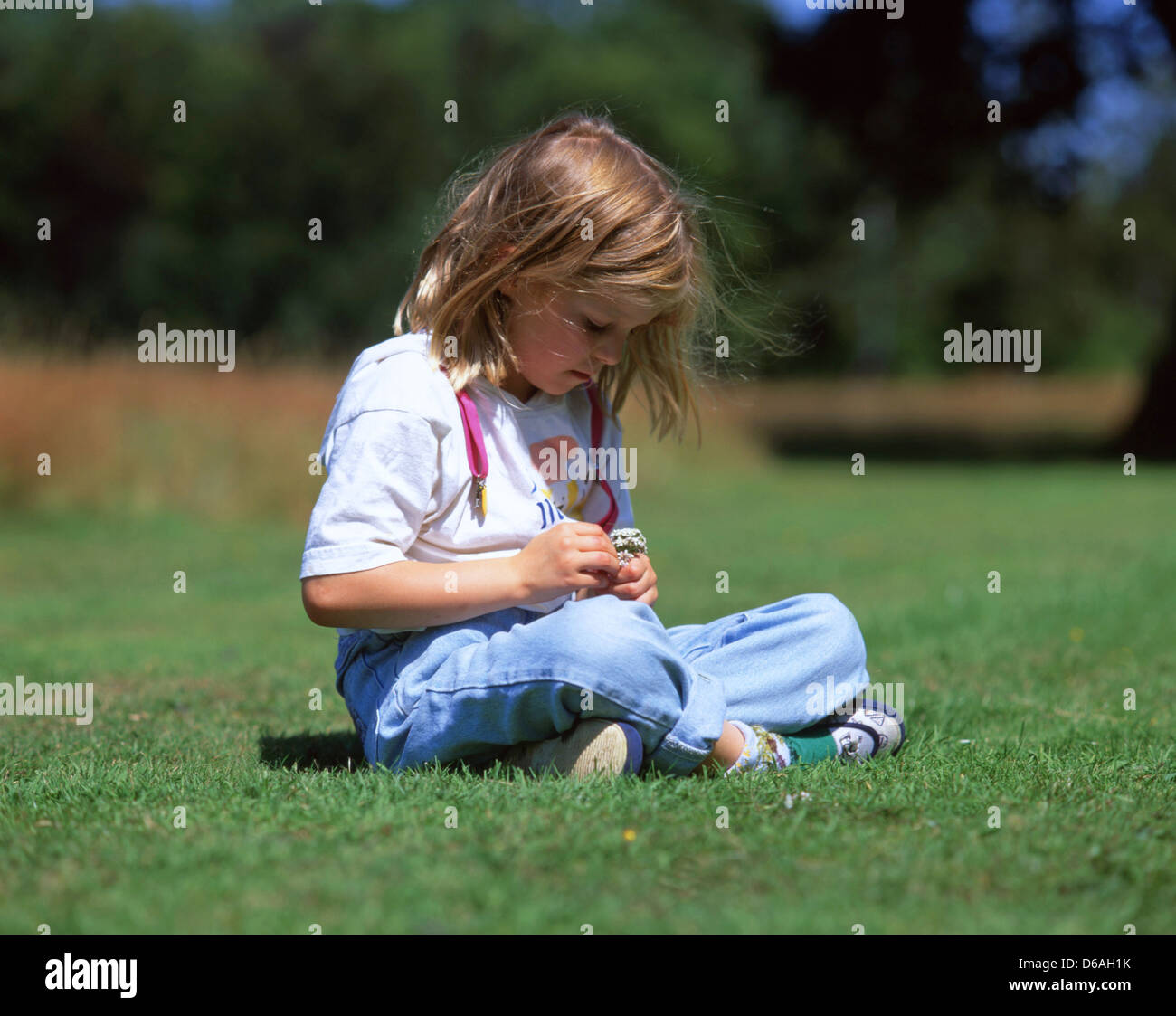 Ragazza giovane rendendo daisy-ring in campo, Winkfield, Berkshire, Inghilterra, Regno Unito Foto Stock