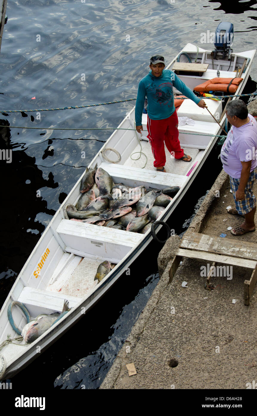 Il Brasile, Amazon, Manaus. La pesca locale barca riempita con il pescato  del giorno Foto stock - Alamy