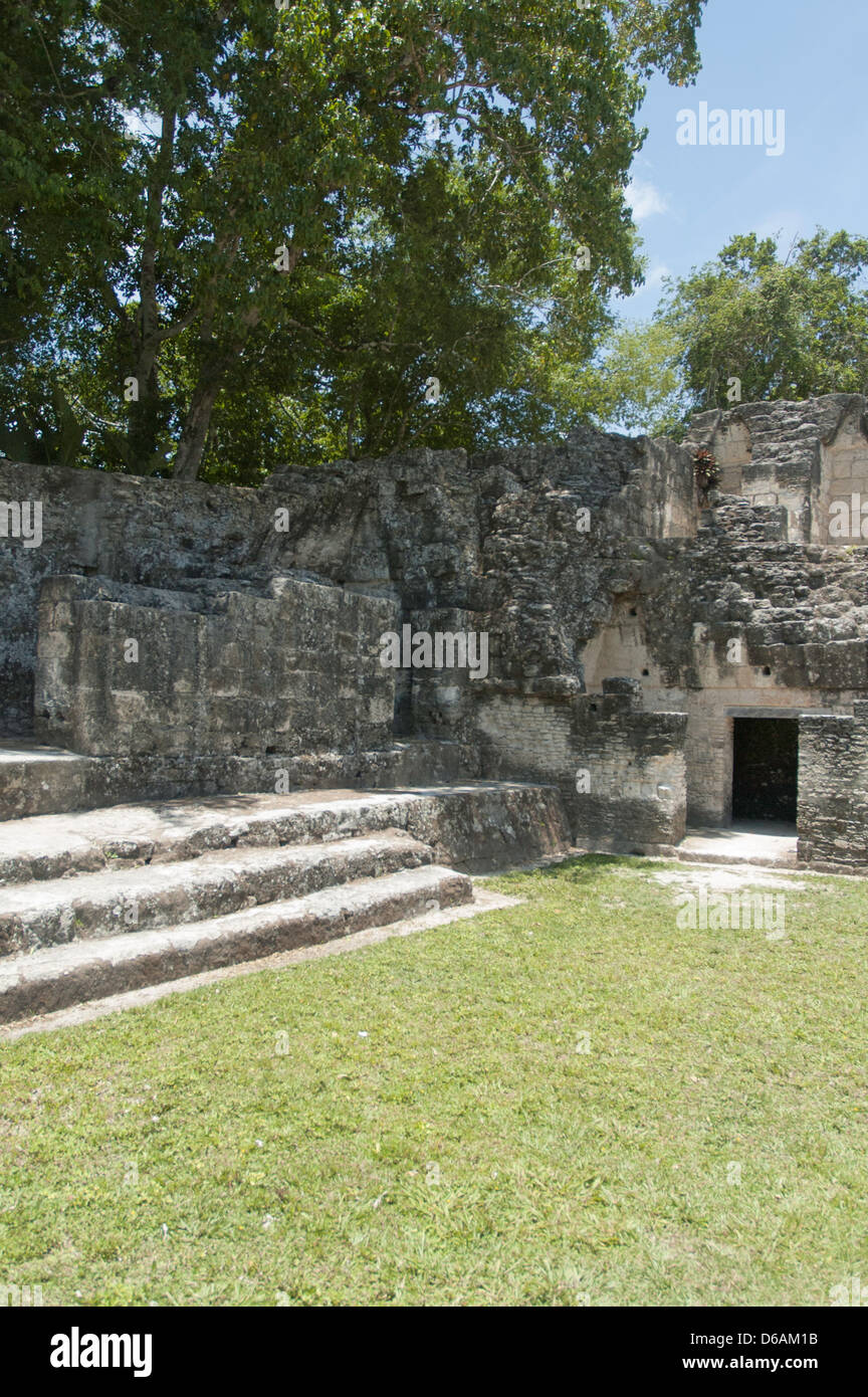 Tikal Guatemala Foto Stock