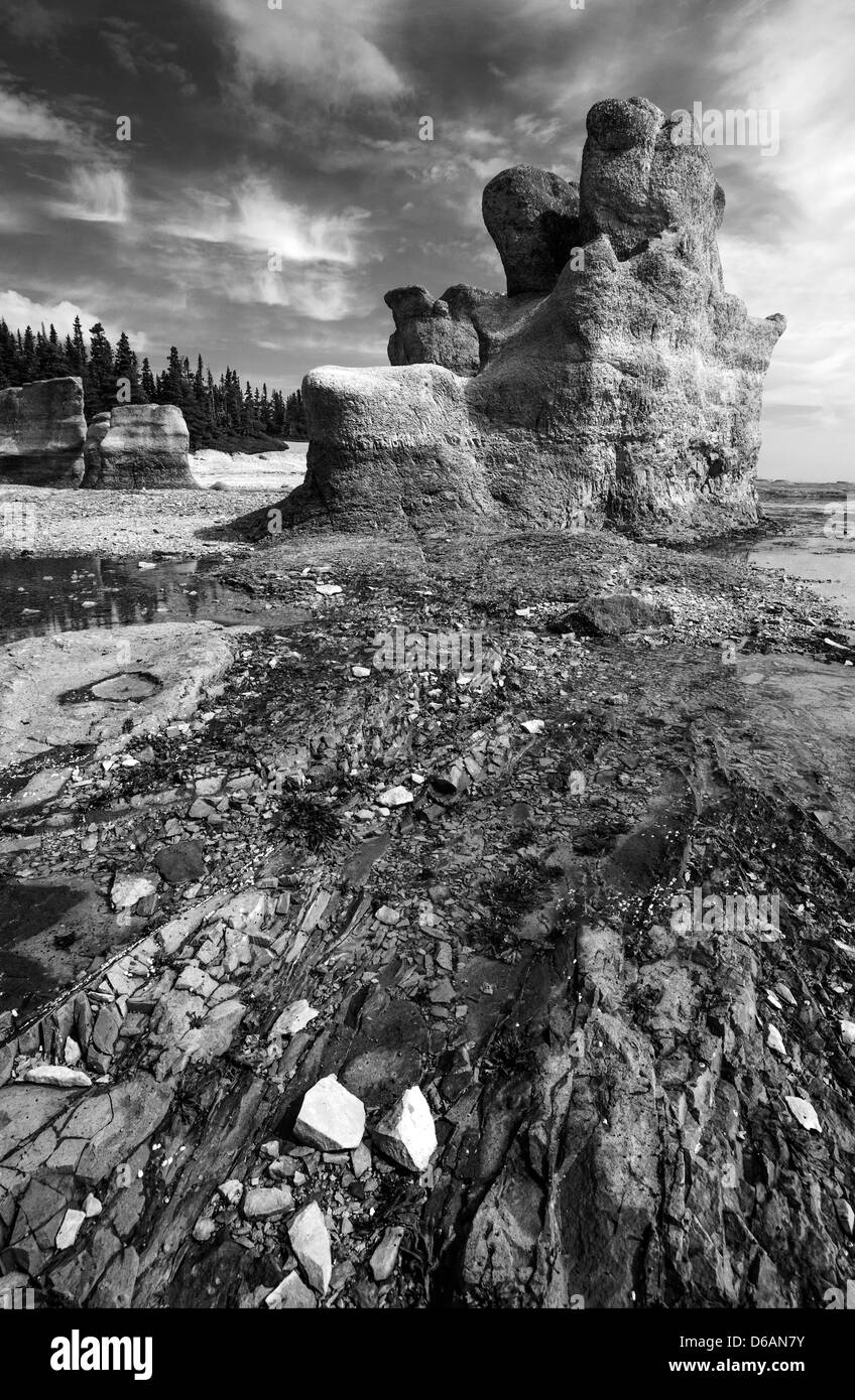 Rocce scolpite sulla cava isola nell'arcipelago di Mingan vicino a Le Havre St-Pierre, Quebec, Canada Foto Stock