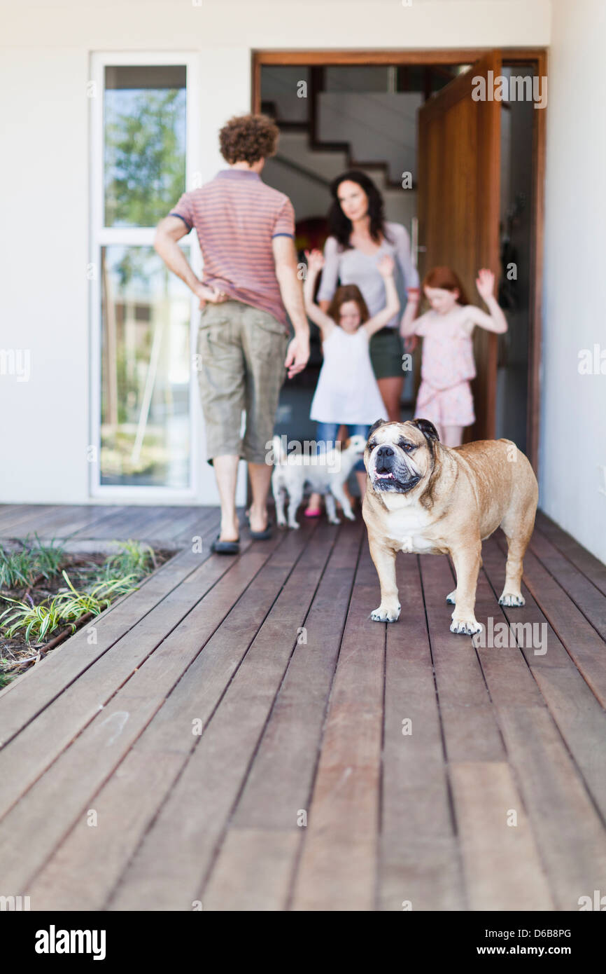 Cane in piedi sul patio in legno Foto Stock