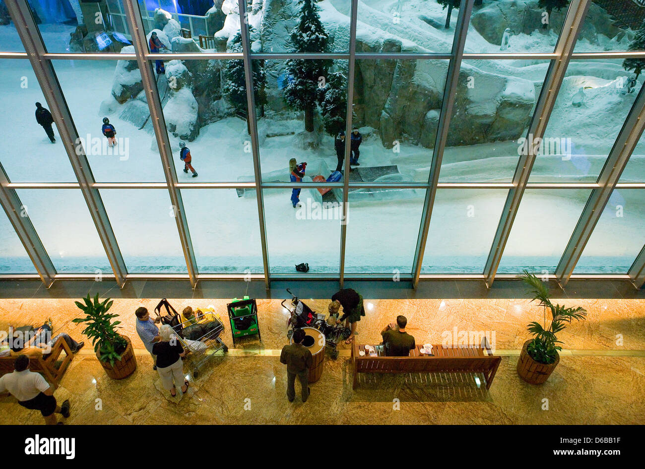 Dubai, la famosa pista di sci nel centro commerciale Mall of Emirates shopping centre Foto Stock