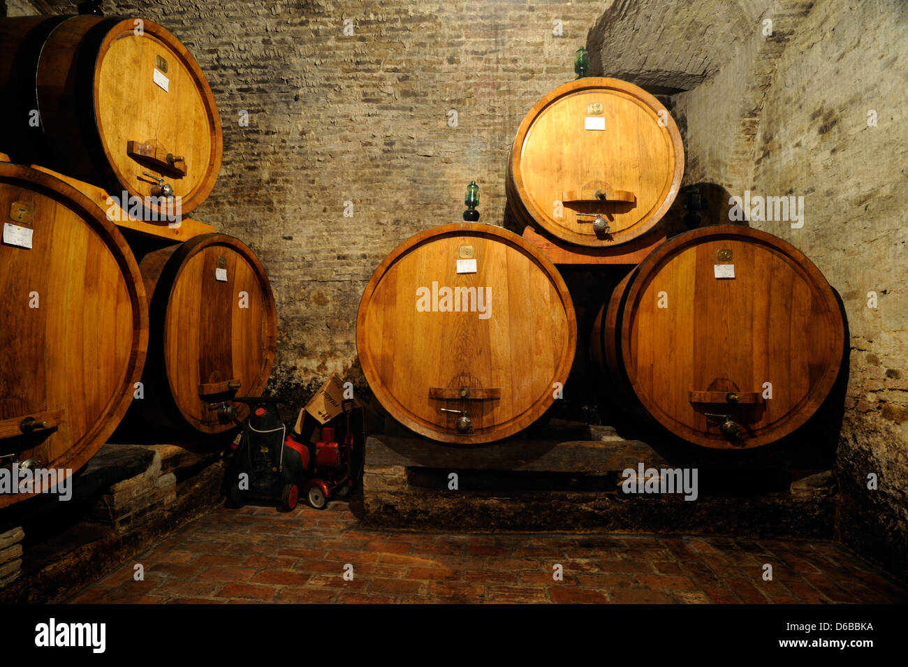 Italia, Toscana, Montepulciano, Palazzo Contucci, cantina, barili Foto Stock