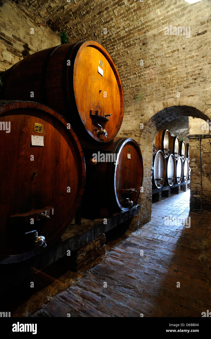 Italia, Toscana, Montepulciano, Palazzo Contucci, cantina, barili Foto Stock