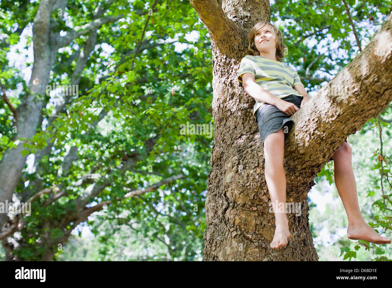 Sorridente ragazzo seduto nella struttura ad albero Foto Stock