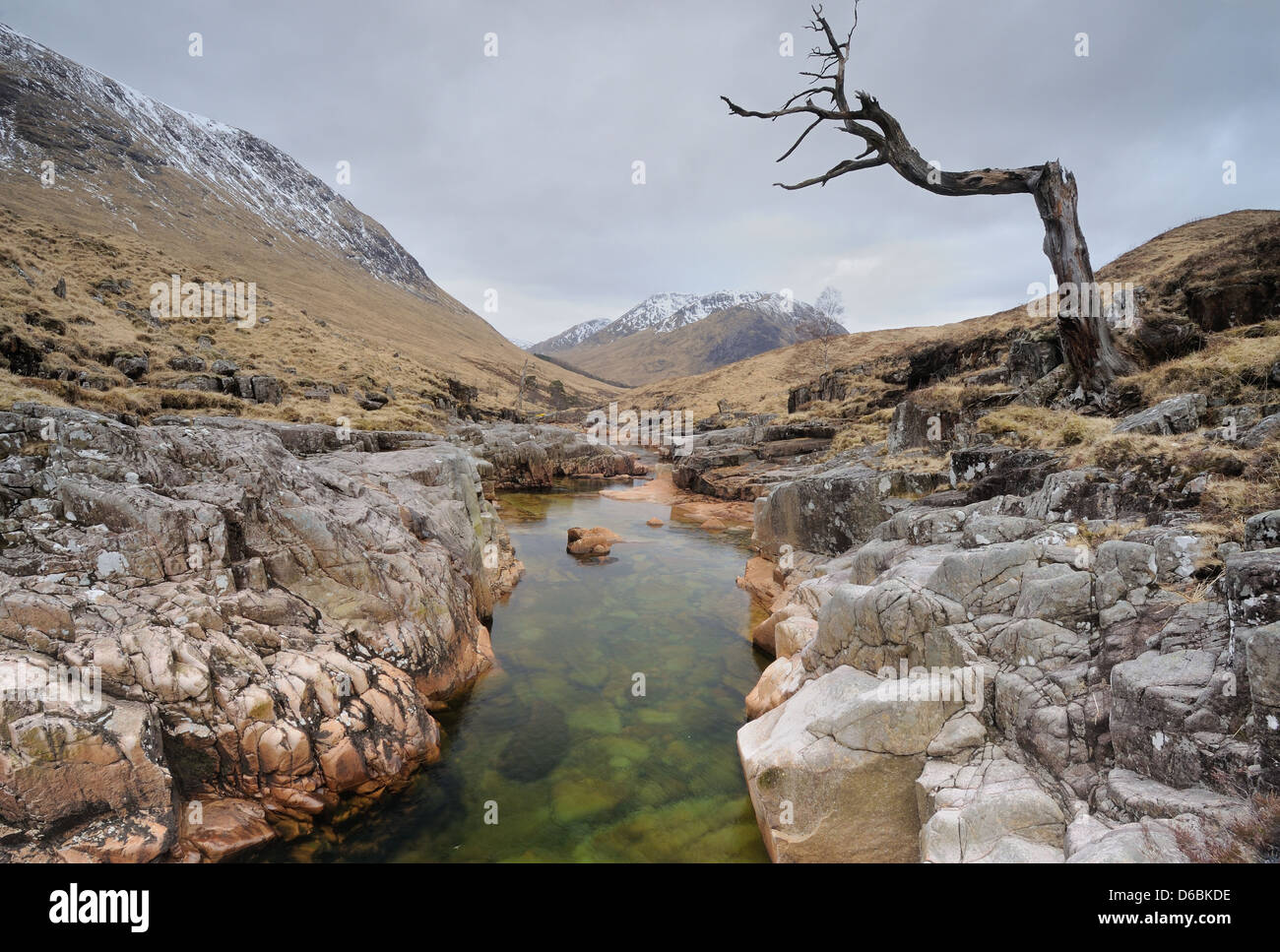 Lone albero morto accanto al fiume Etive, Glen Etive, Highlands scozzesi Foto Stock