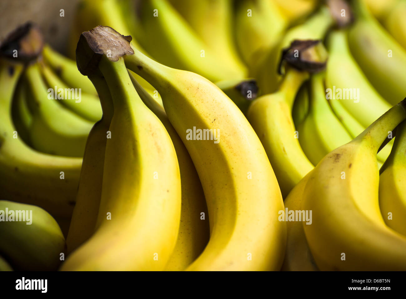 Le banane vendute a un frutto in stallo. Foto Stock