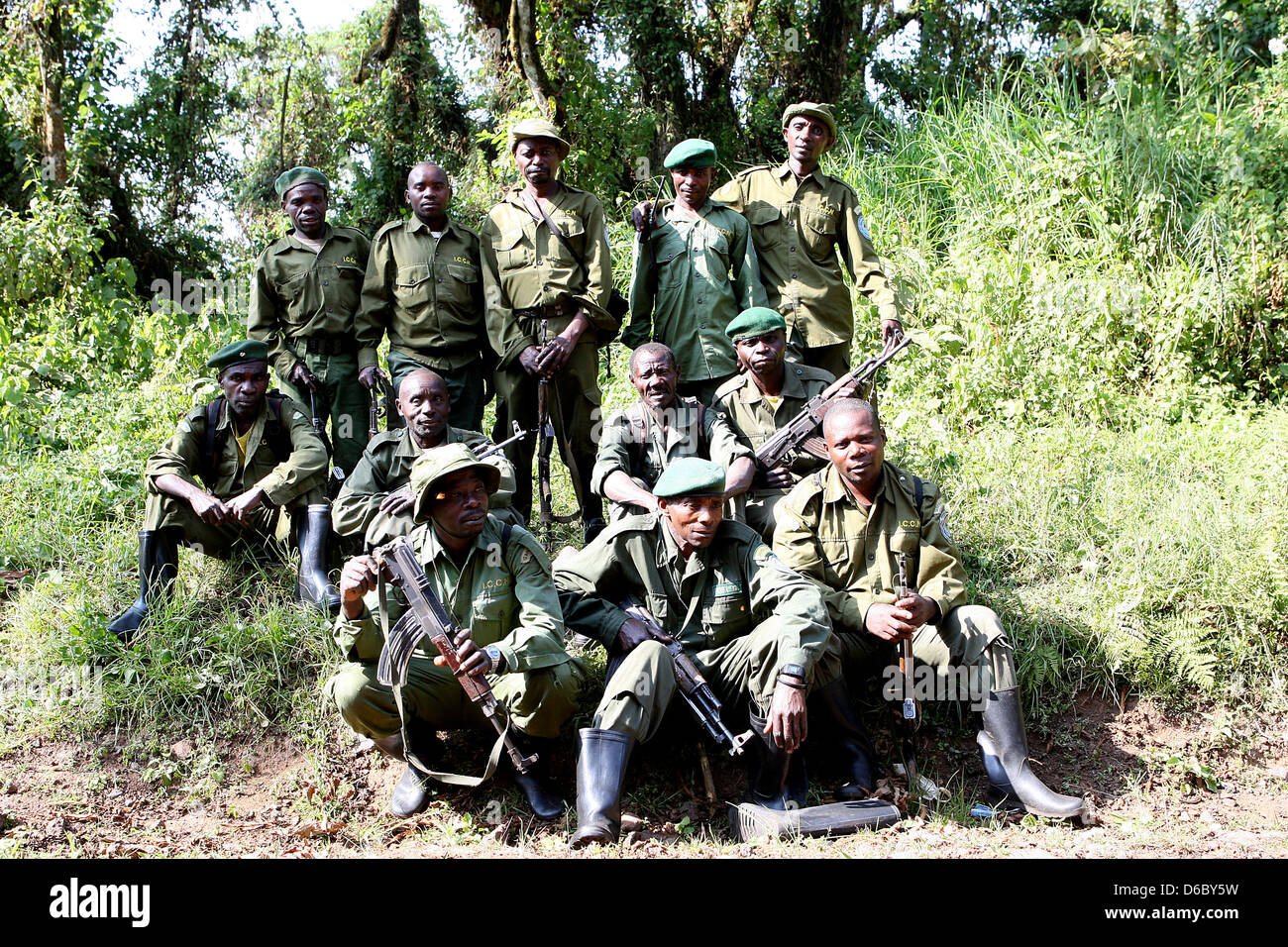 Quest'anno, la KfW per lo sviluppo della Banca assumerà il finanziamento dell'Kahuzi-Biega Parco Nazionale al confine della Repubblica Democratica del Congo Ruanda. In questo parco sul lato congolese sono attualmente nove gorilla di montagna i gruppi presenti, che attualmente significa un totale di 139 animali. Questi gruppi vivono su circa 600.000 ettari di area forestale - che rende solo un decimo del totale del Parco Nazionale, che è attualmente controllata. Prima dell'ultimo focolaio di una guerra con il Ruanda vi era di circa 10.000 vivono i gorilla di montagna. Molti di loro sono stati uccisi nel corso degli anni da parte di persone e oggi Foto Stock