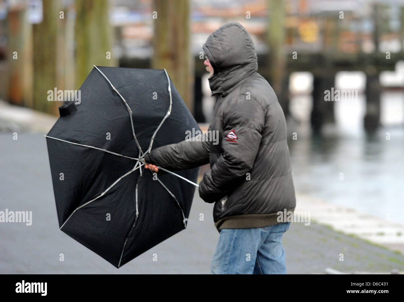 Un pedesrtrian combatte con il suo ombrello durante le tempeste di Flensburg, Germania, 12 gennaio 2012. Temperature raggiunte otto gradi centigradi, le raffiche di vento hanno raggiunto la forza del vento 11. Foto: CARSTEN REHDER Foto Stock