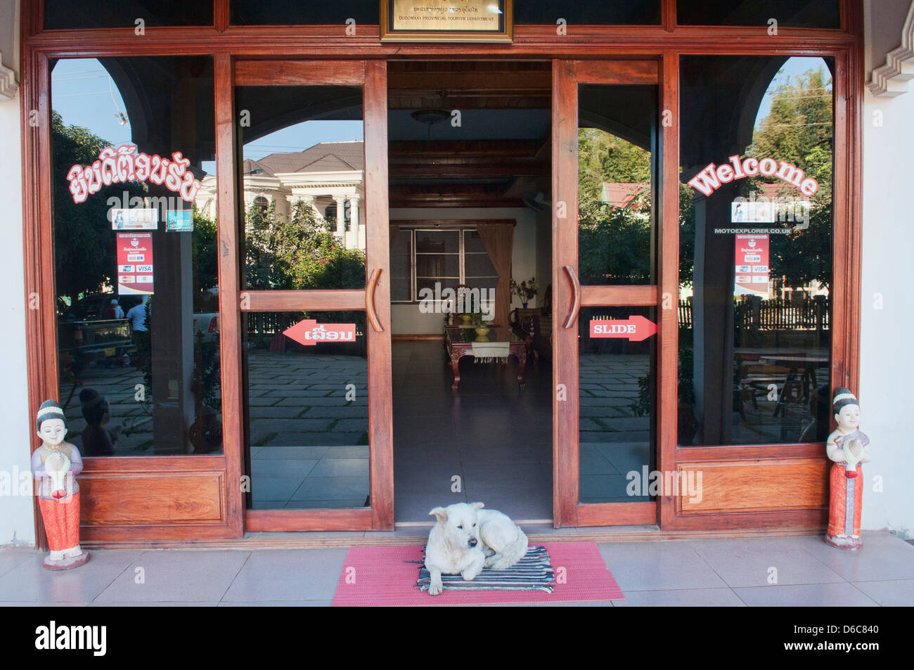 Un cane giorno pomeriggio nel nord del Laos Foto Stock