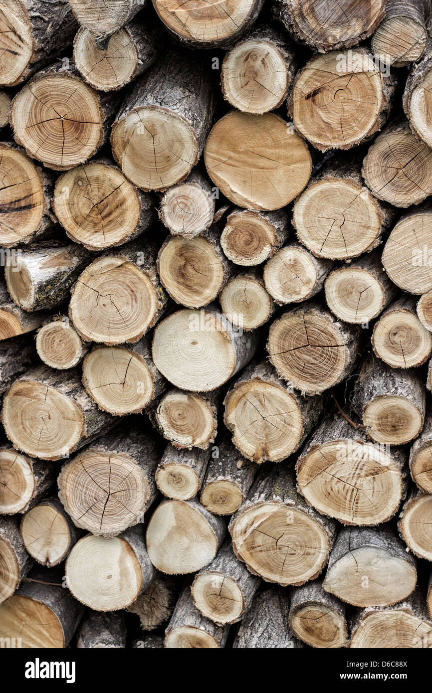 Sfondo di secco di legna da ardere spaccati logs impilati in una pila Foto Stock