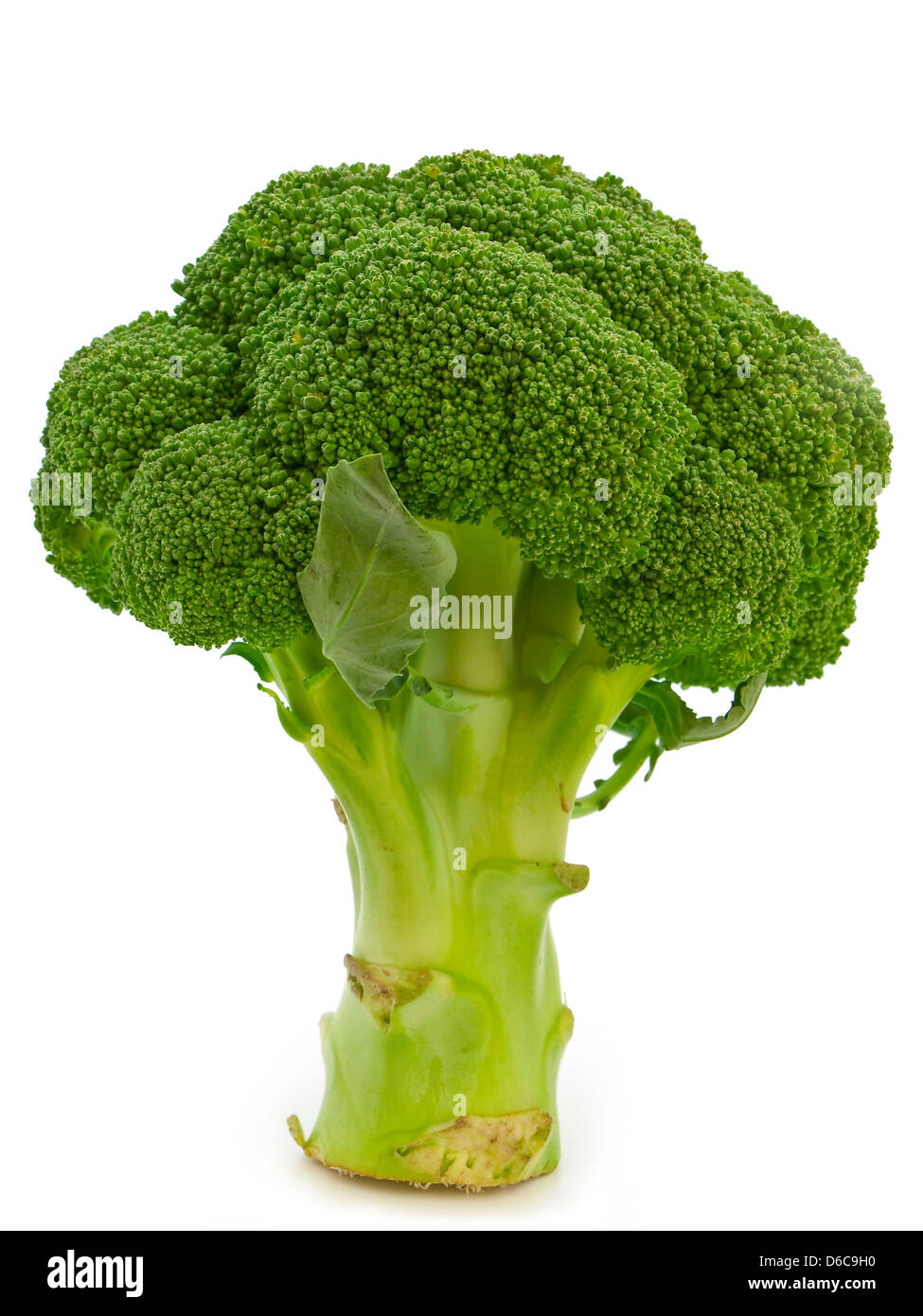 Broccoli Foto Stock