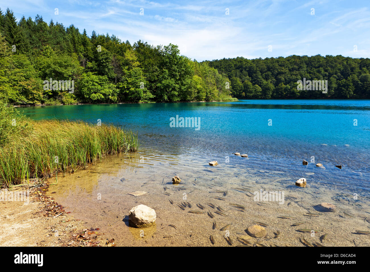 Parco nazionale dei Laghi di Plitvice, Croazia Foto Stock