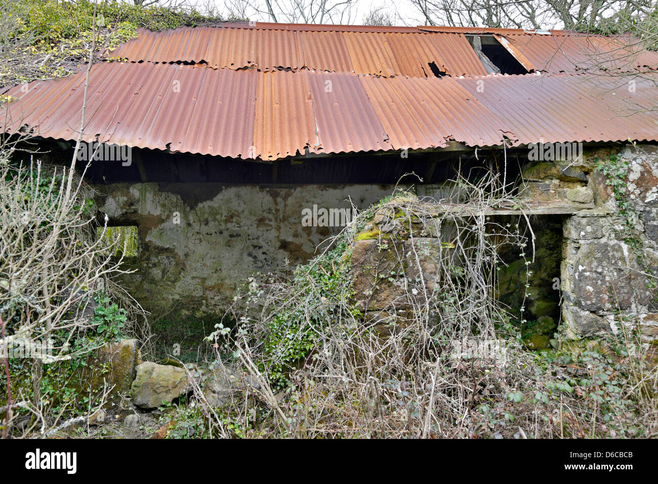 Goonhilly in groppa Downs; Vecchia Fattoria edificio; la lucertola; Cornovaglia; Regno Unito Foto Stock