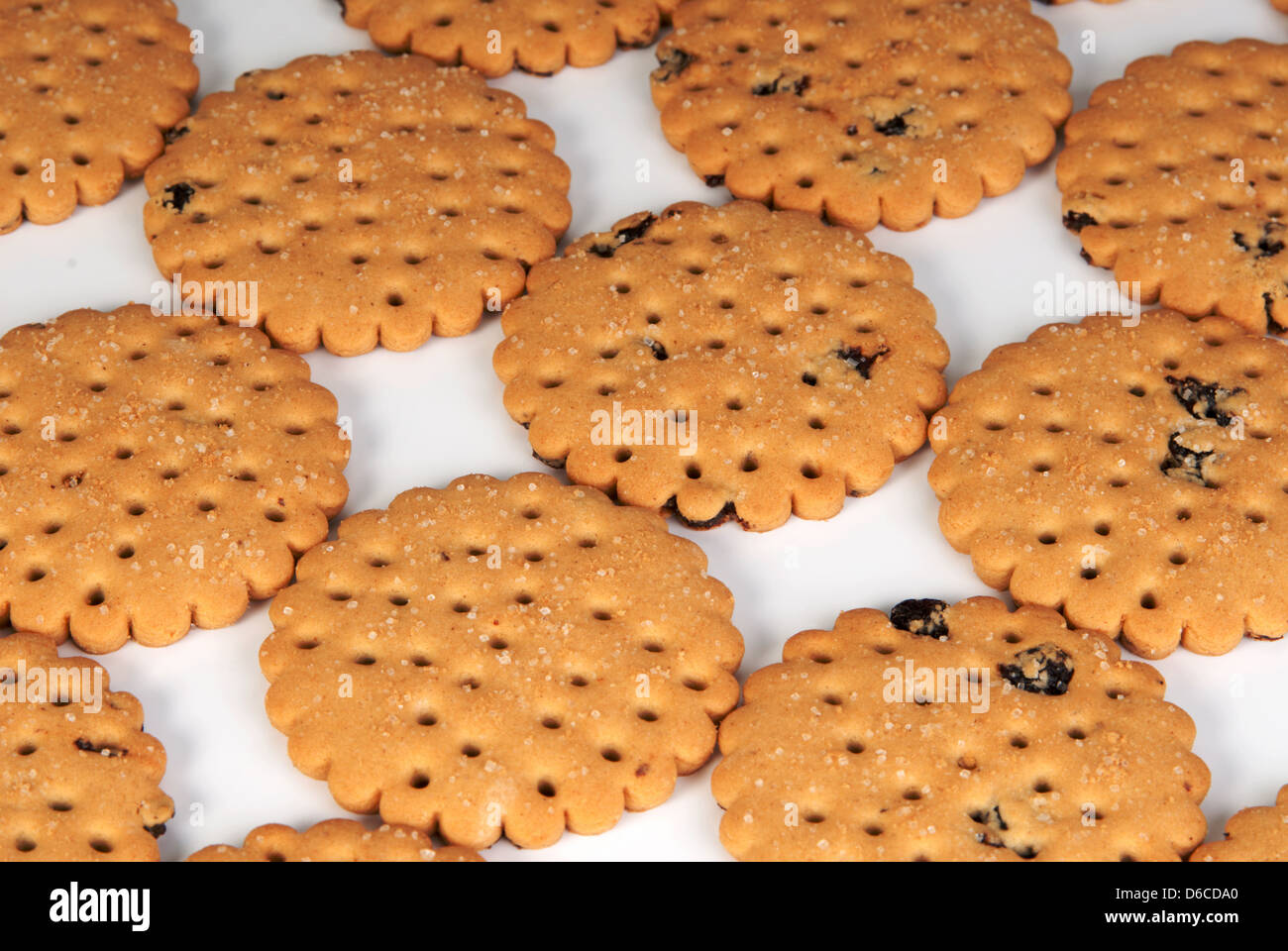 Croccante di colore marrone dorato biscotti di frutta su sfondo bianco Foto Stock