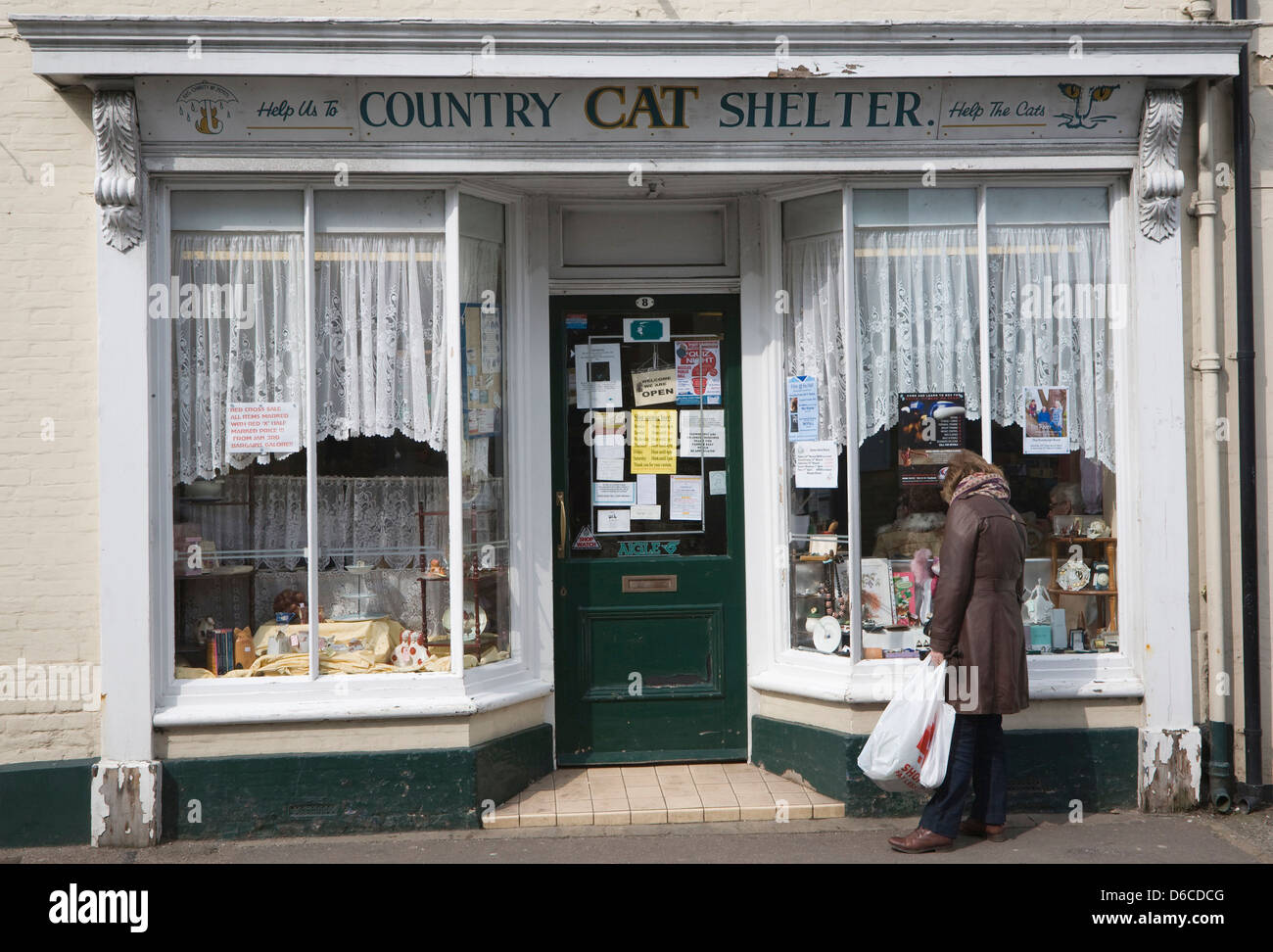 Paese Cat Shelter carità shop, Beccles, Suffolk, Inghilterra Foto Stock Paese Cat Shelter carità shop, Beccles, Suffolk, Inghilterra Foto Stock