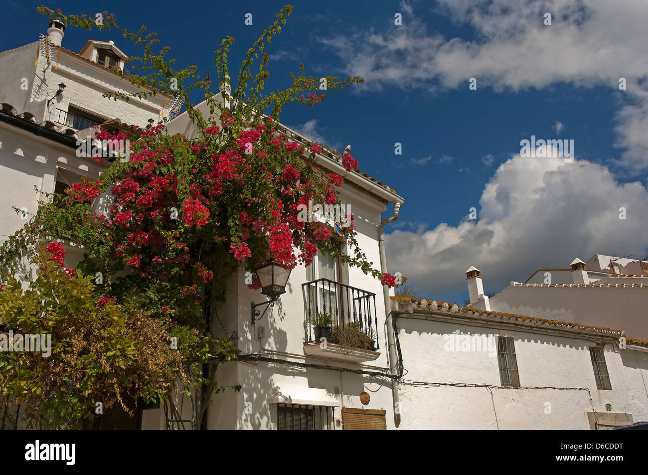 Tipico villaggio, Gaucin, provincia di Malaga, regione dell'Andalusia, Spagna, Europa Foto Stock