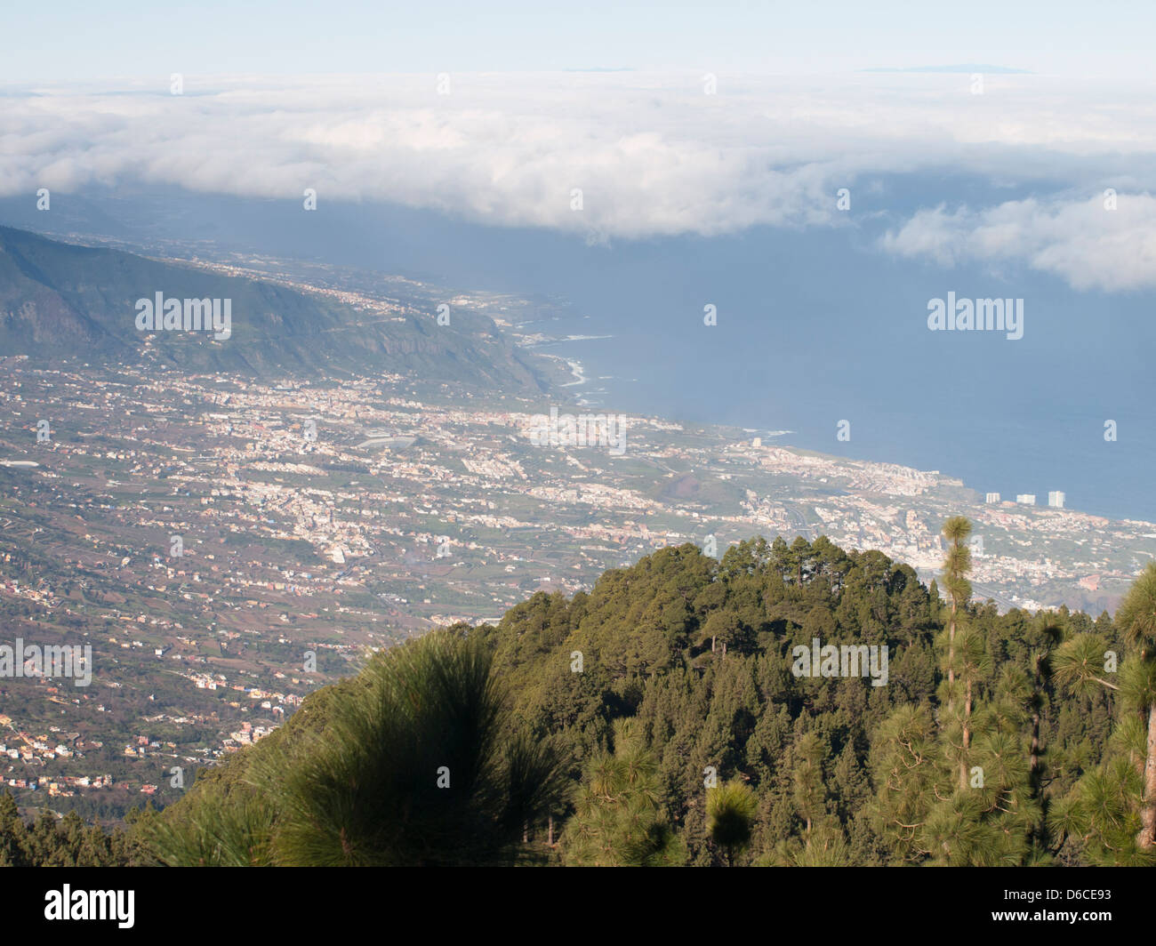 Vista della valle di Orotava Tenerife spagna da una piattaforma di osservazione lungo il TF 24 road Foto Stock