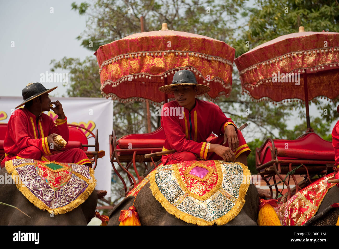Ayutthaya, Thailandia, l'elefante i detentori del giorno dell'elefante nel Parco storico Foto Stock