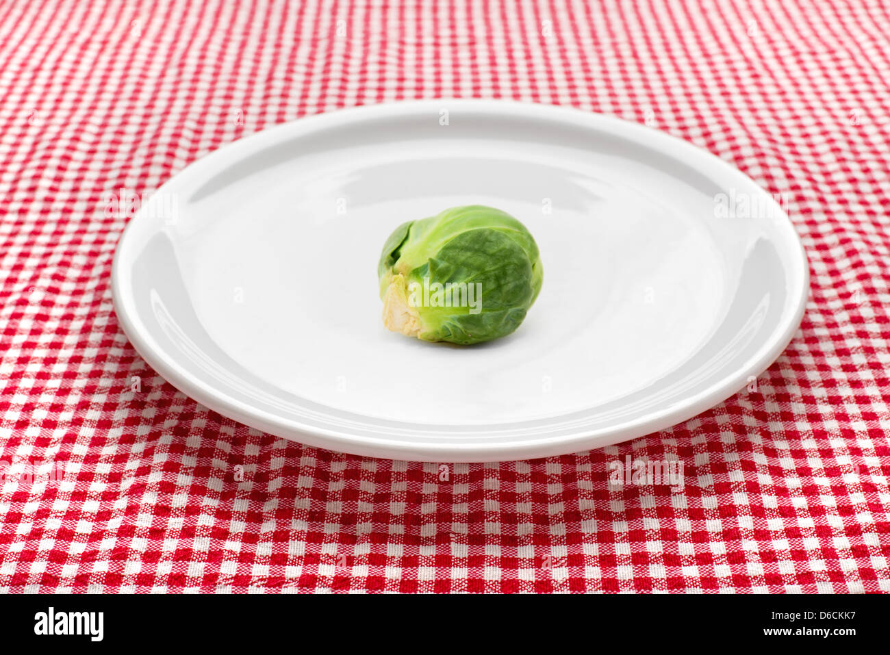 Materie cavoletti di Bruxelles sulla piastra bianca sul tavolo da cucina, rosso e bianco tovaglia a scacchi in background. Foto Stock