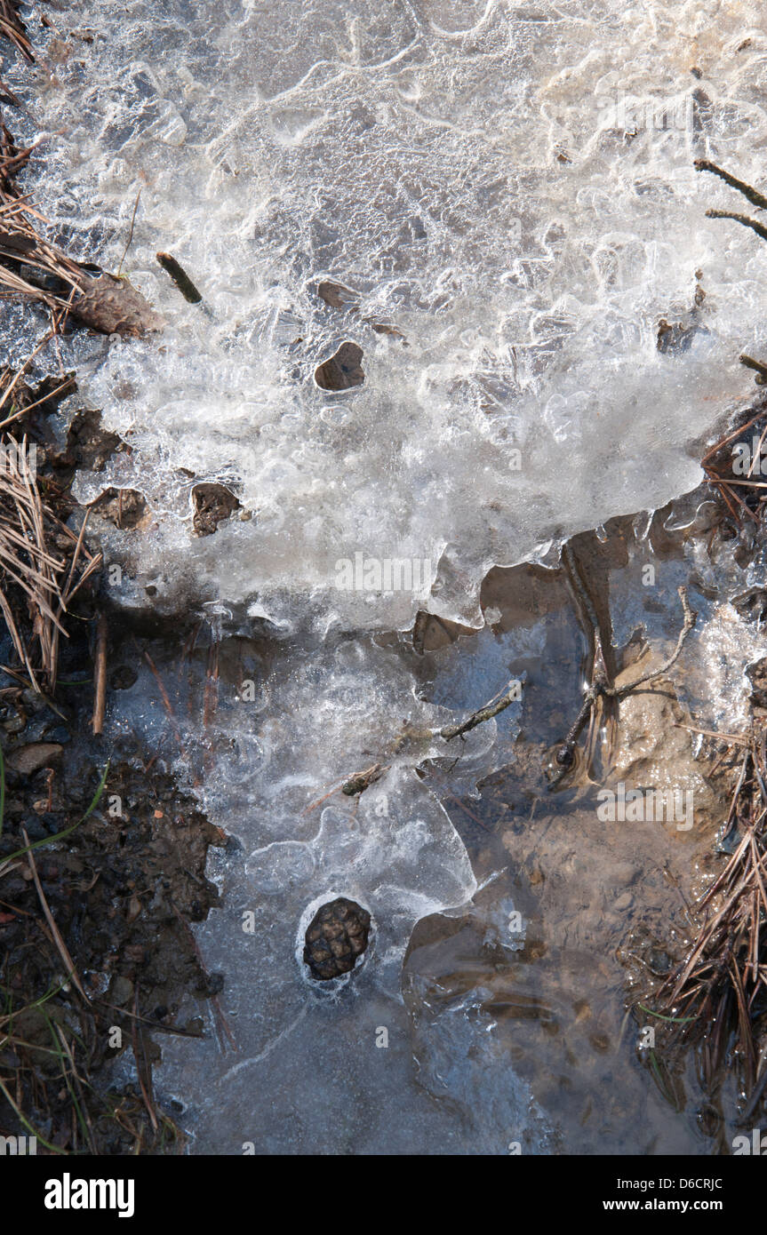 Neve e ghiaccio fuso, piccolo ruscello, ghiaccio, fusione, gelo, close up, foresta, bosco, acqua Foto Stock