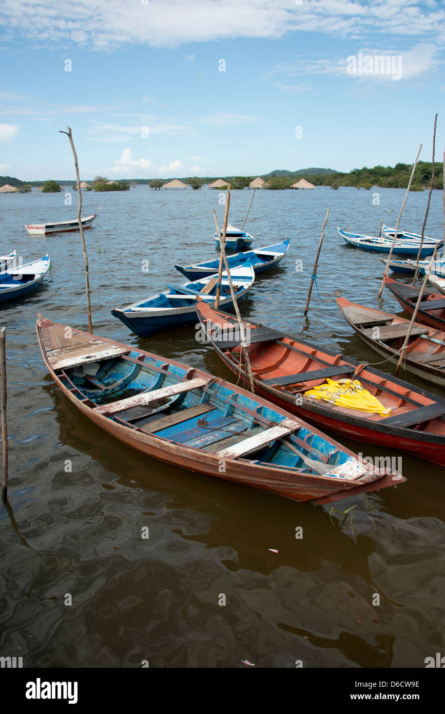 Il Brasile, Amazon, Alter do Chao. Colorate in legno locale di barche da  pesca Foto stock - Alamy