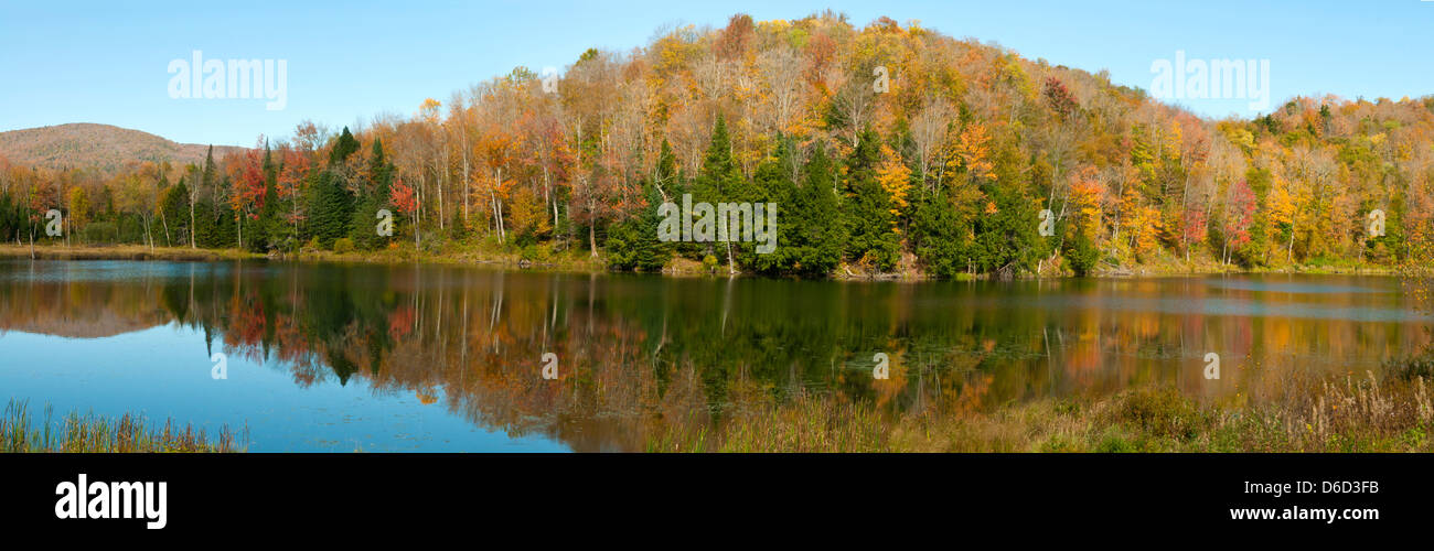 Belvidere Pond riflessioni, nei pressi di Belvidere angolo, Vermont, USA Foto Stock