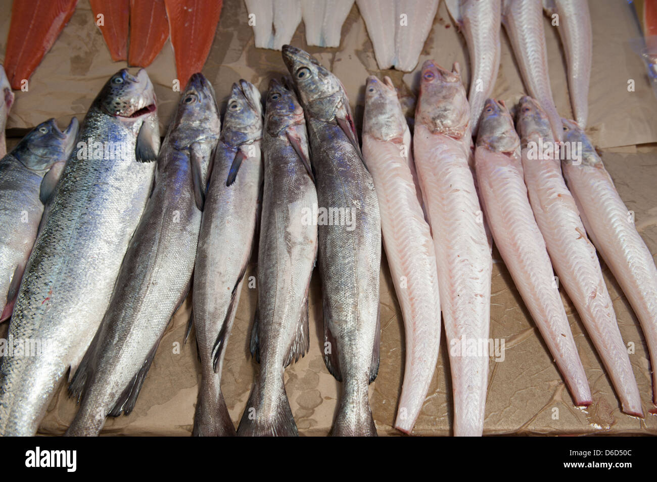 Frutti di mare a un mercato agricolo in Puerto Montt, Cile Foto Stock