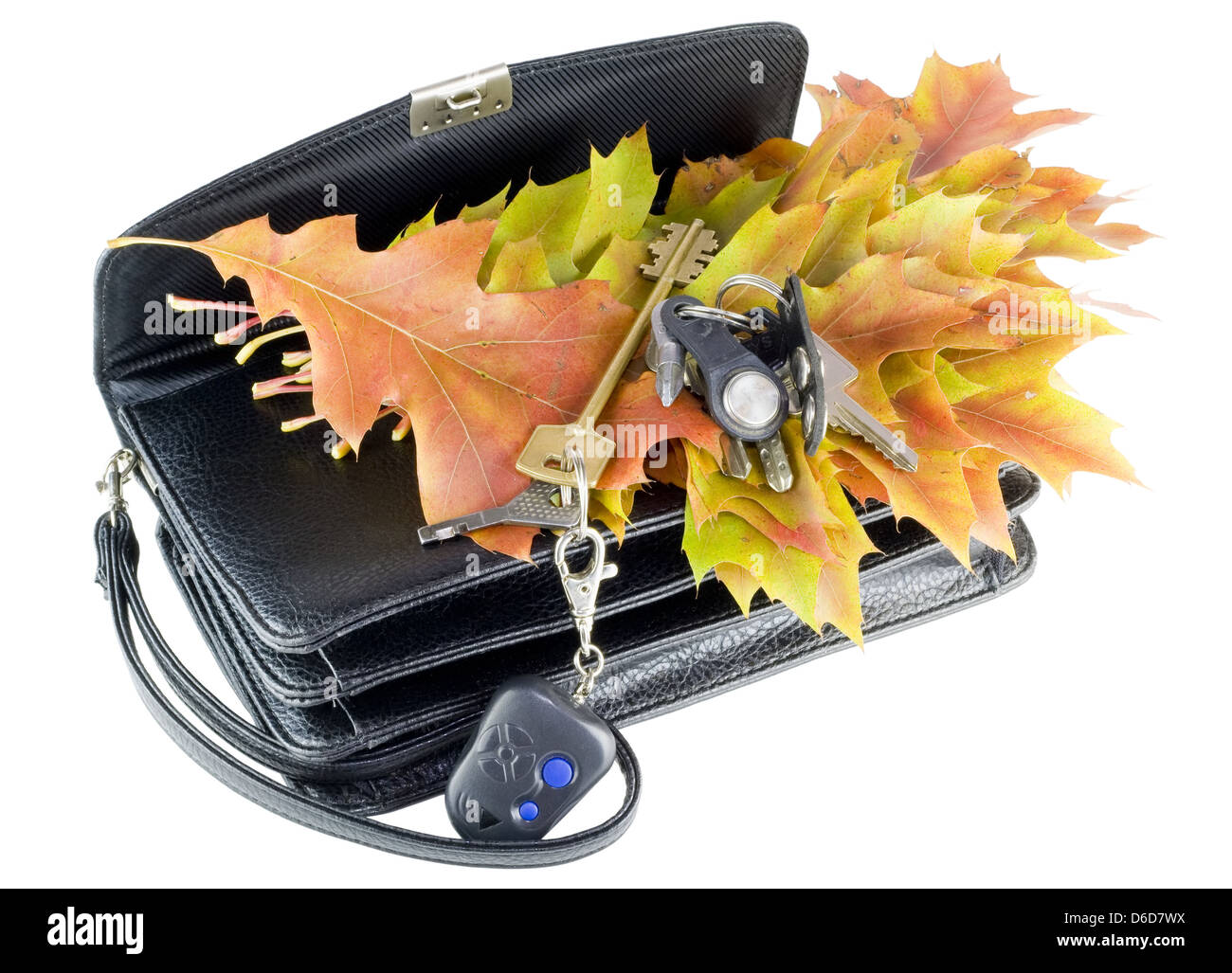 In caso di smarrimento delle chiavi e foglie di autunno Foto Stock