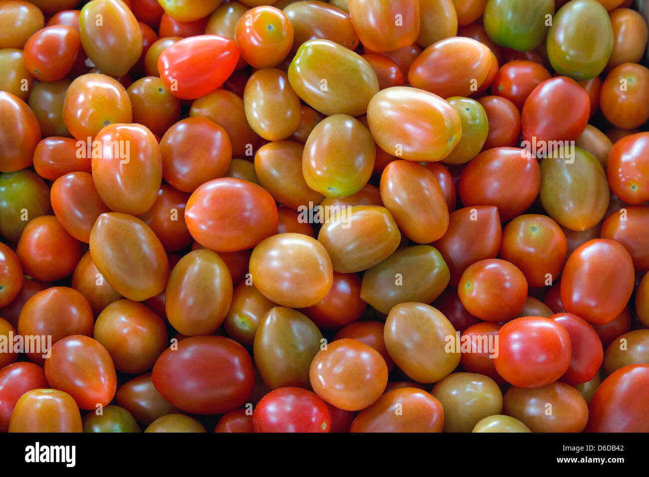 Piccoli pomodori ciliegia a Fruttivendolo Closeup sfondo Foto Stock