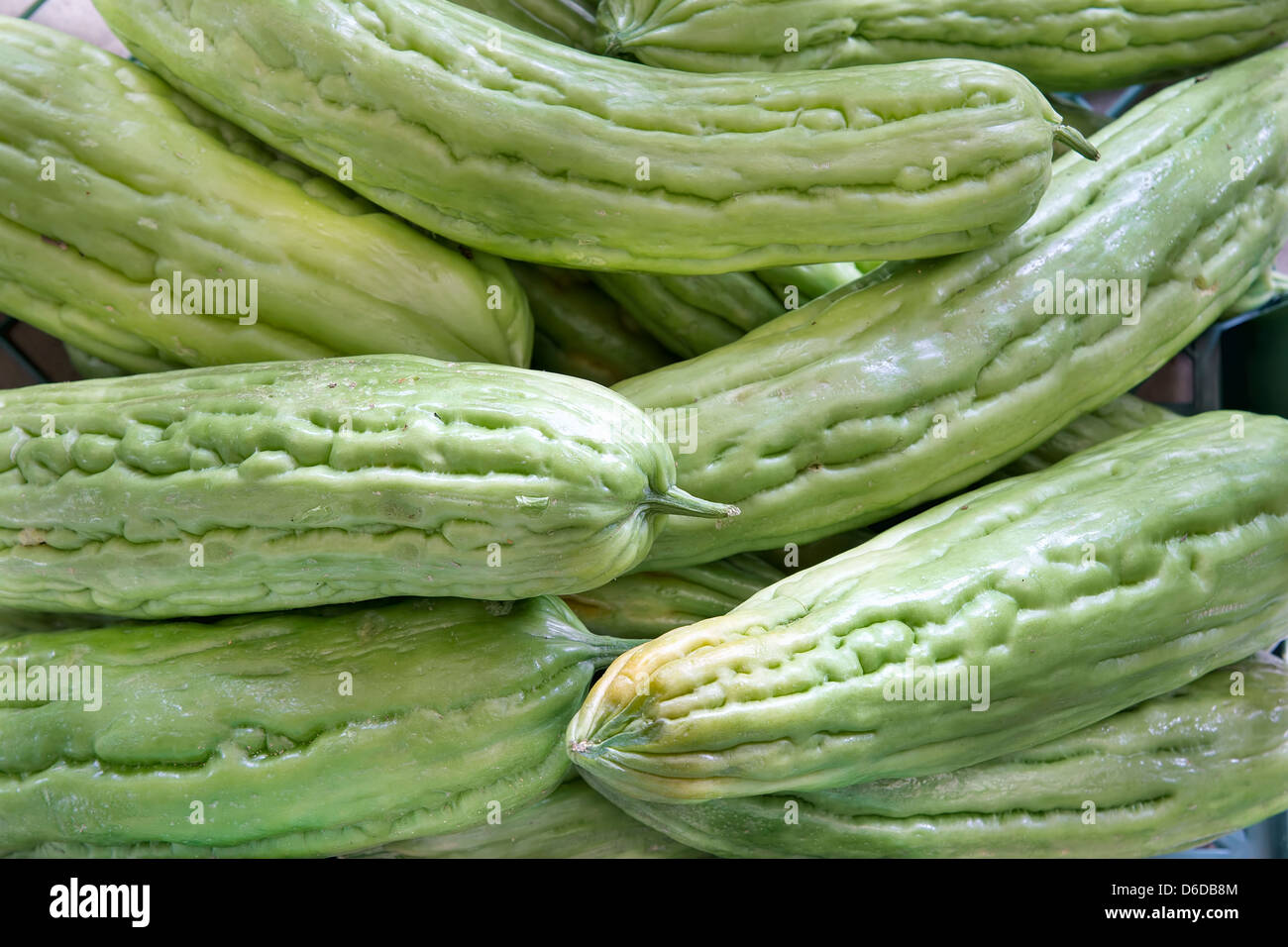 Gourd amaro melone Closeup sfondo Foto Stock