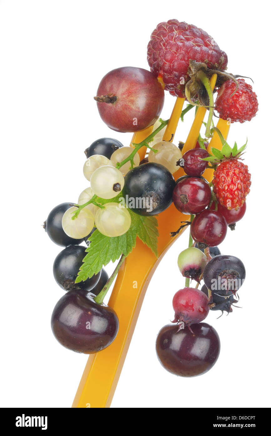 Dieta frutta concetto macro Foto Stock