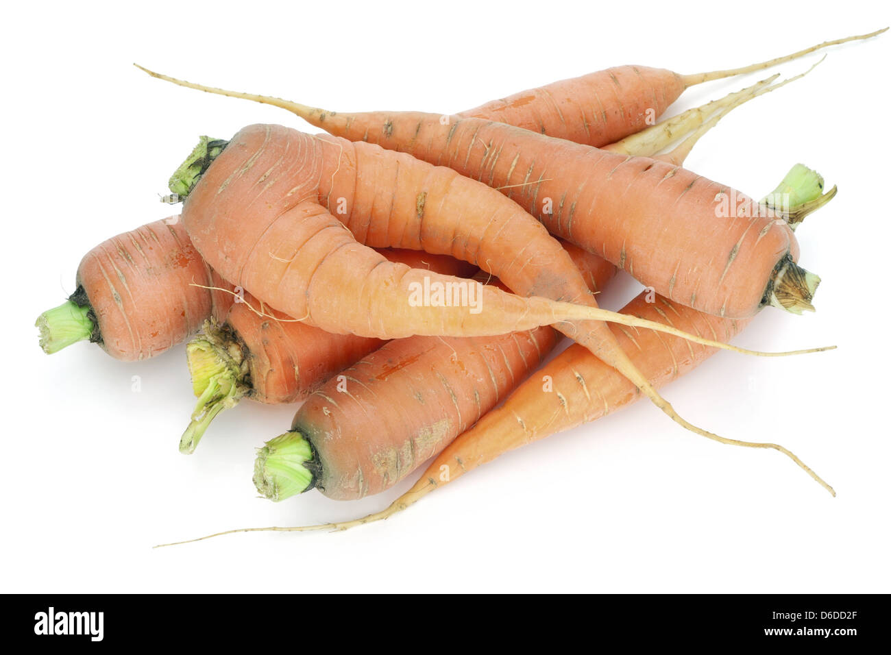 Rurale carota ecologico Foto Stock
