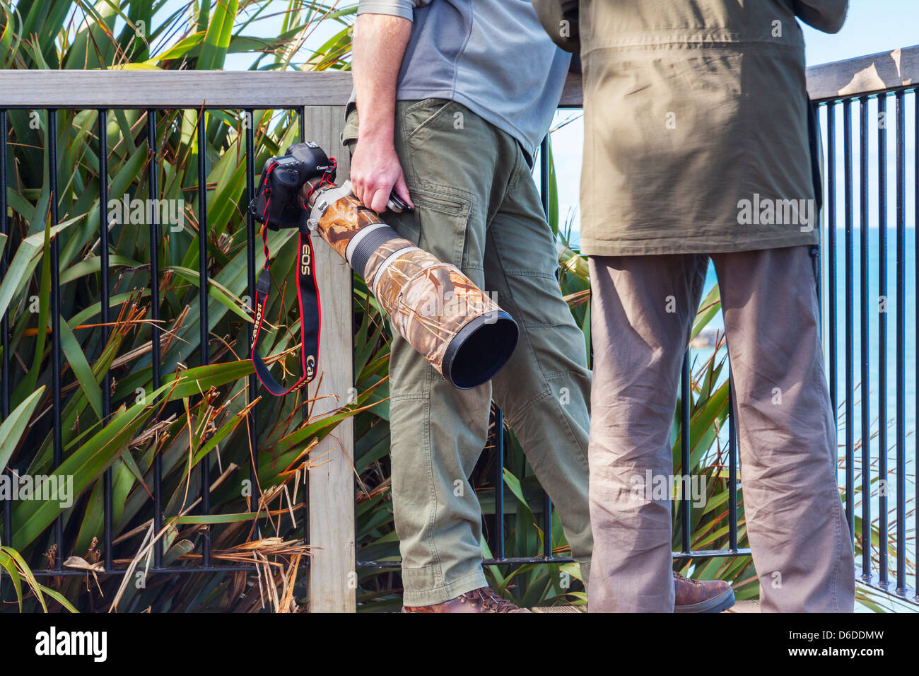 Wildlife Photographer con fotocamera Canon e enorme lente con il camuffamento wrap. Foto Stock