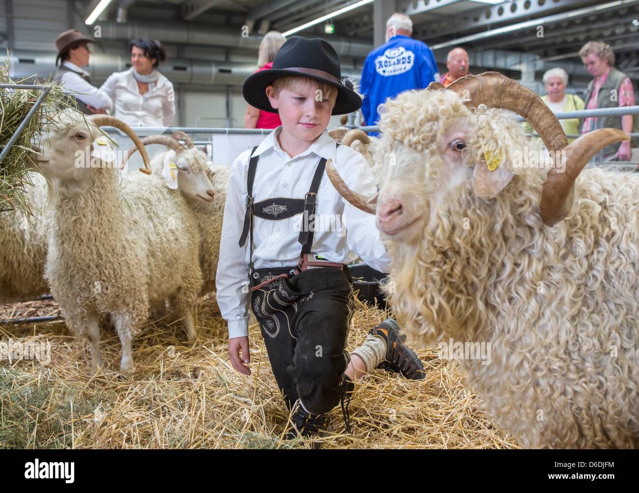 Jonas Baumbach da Effelder si prende cura delle sue capre angora al Green Days della Turingia, un'agricoltura internazionale equo, a Erfurt, Germania, 7 settembre 2012. 275 espositori provenienti da vari paesi presentano i loro prodotti provenienti da tutte le aree del settore agricolo che spaziano dal cibo organico per macchine agricole. Ci saranno anche 1.500 animali sul display della fiera fino al Foto Stock