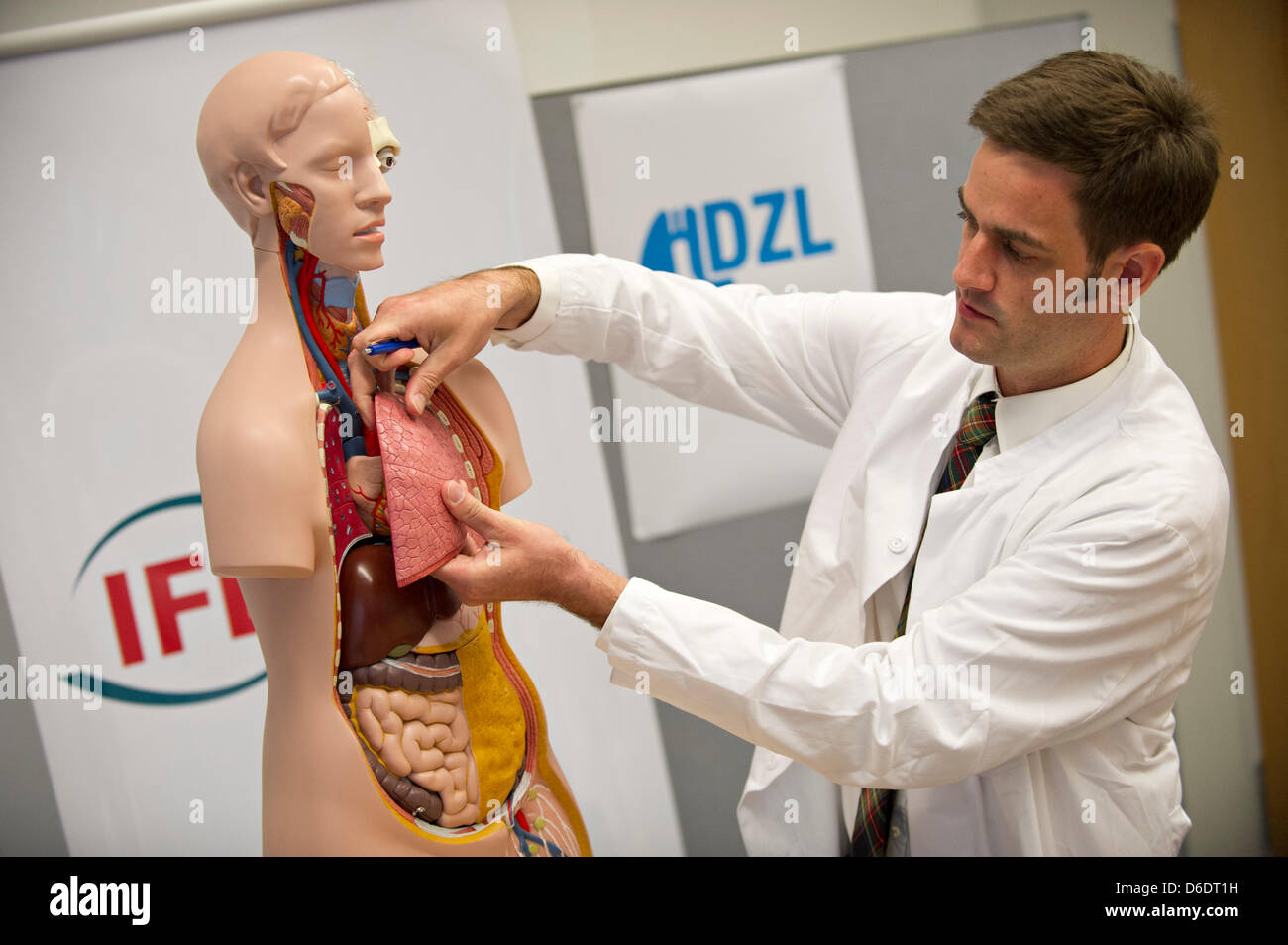 Il dottor Gregor Warnecke spiega un trapianto di polmone utilizzando un modello anatomico durante una conferenza stampa a Hannover Medical School di Hannover, Germania, 12 settembre 2012. Dodici anni di Marius è la prima persona in Germania per ricevere un trapianto di polmone da un donatore vivente, uno dei suoi genitori. Foto: EMILY WABITSCH Foto Stock