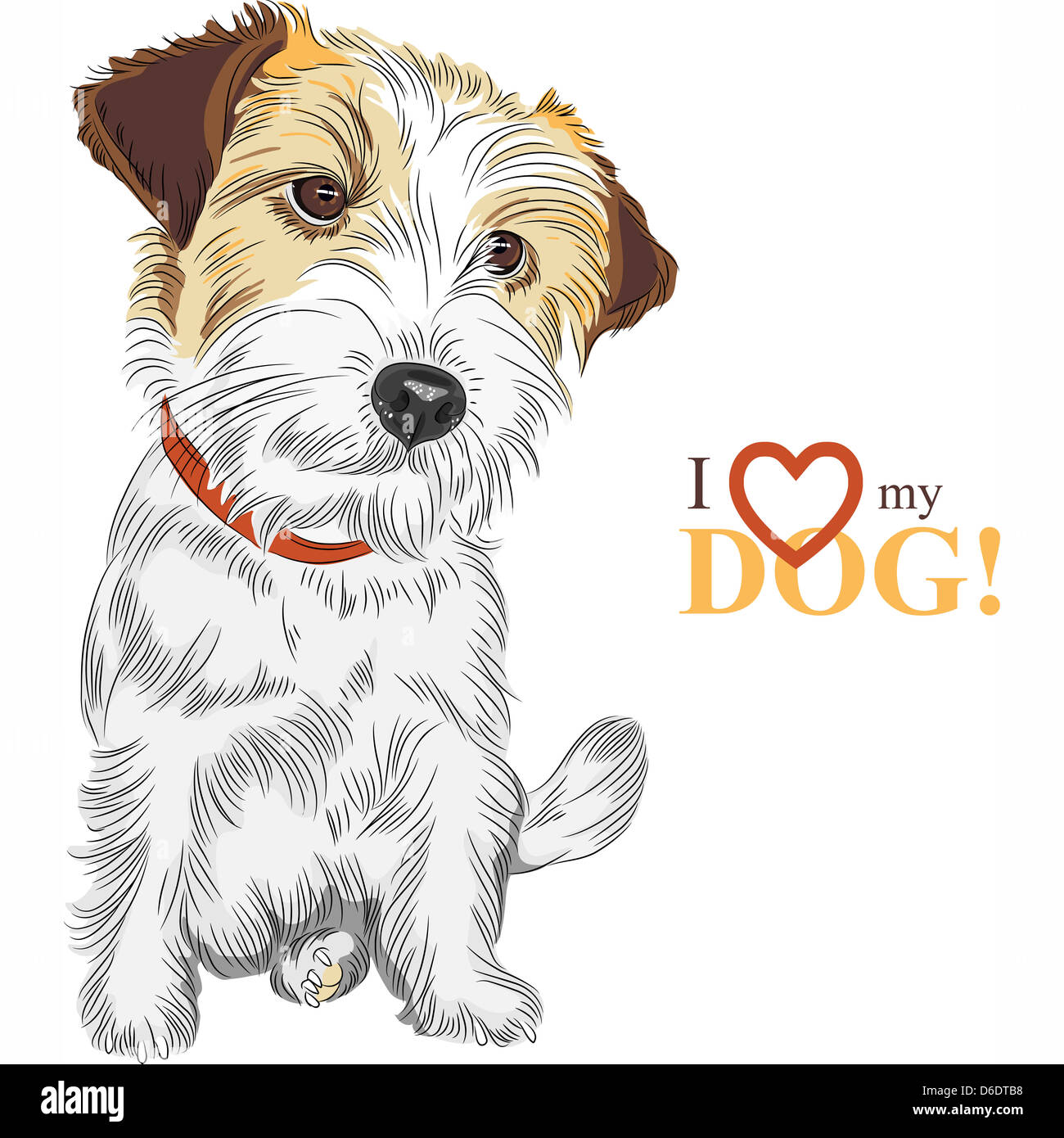 Purple Possum® Jack Russell - Calzini da donna, confezione da 2 paia, con stampa di cane Terrier, morbidi e in misto cotone di bambù, calzini Jack Russells, Grigio/Blu, Taglia unica