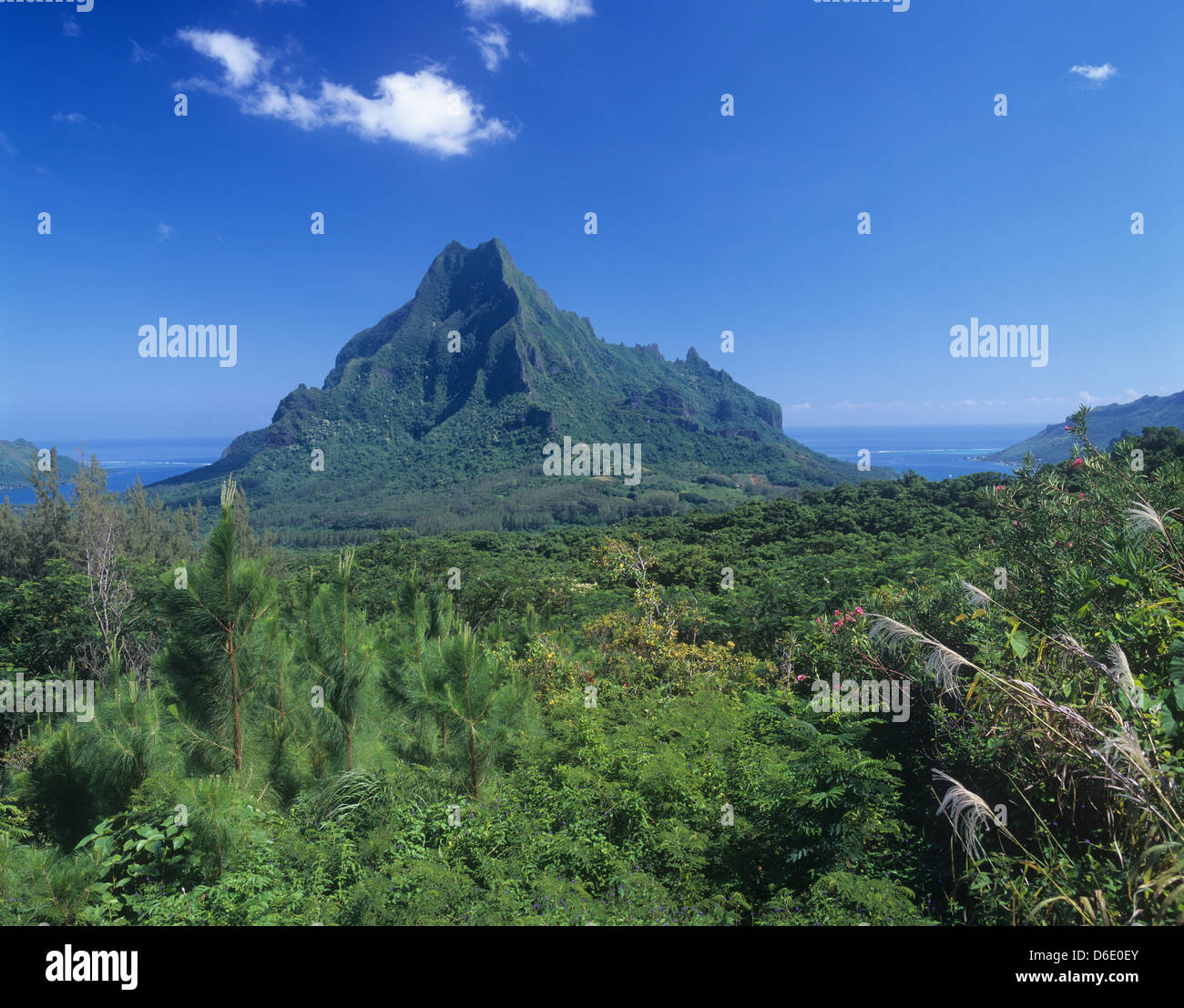 La Polinesia francese, le Isole della Società, isole Windward, Moorea, Opunohu Belvedere, Il Monte Rotui Foto Stock