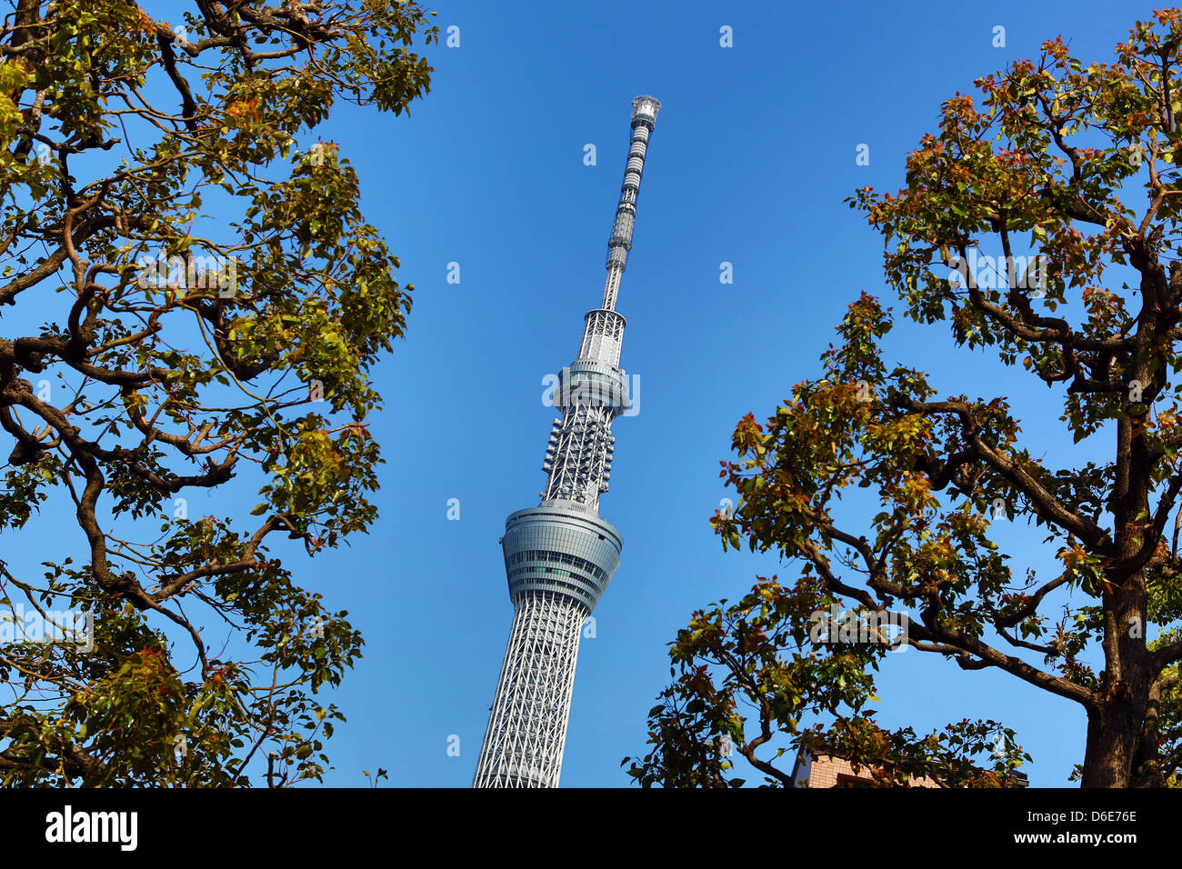 Tokyo Tower Skytree Asakusa, Tokyo, Giappone Foto Stock