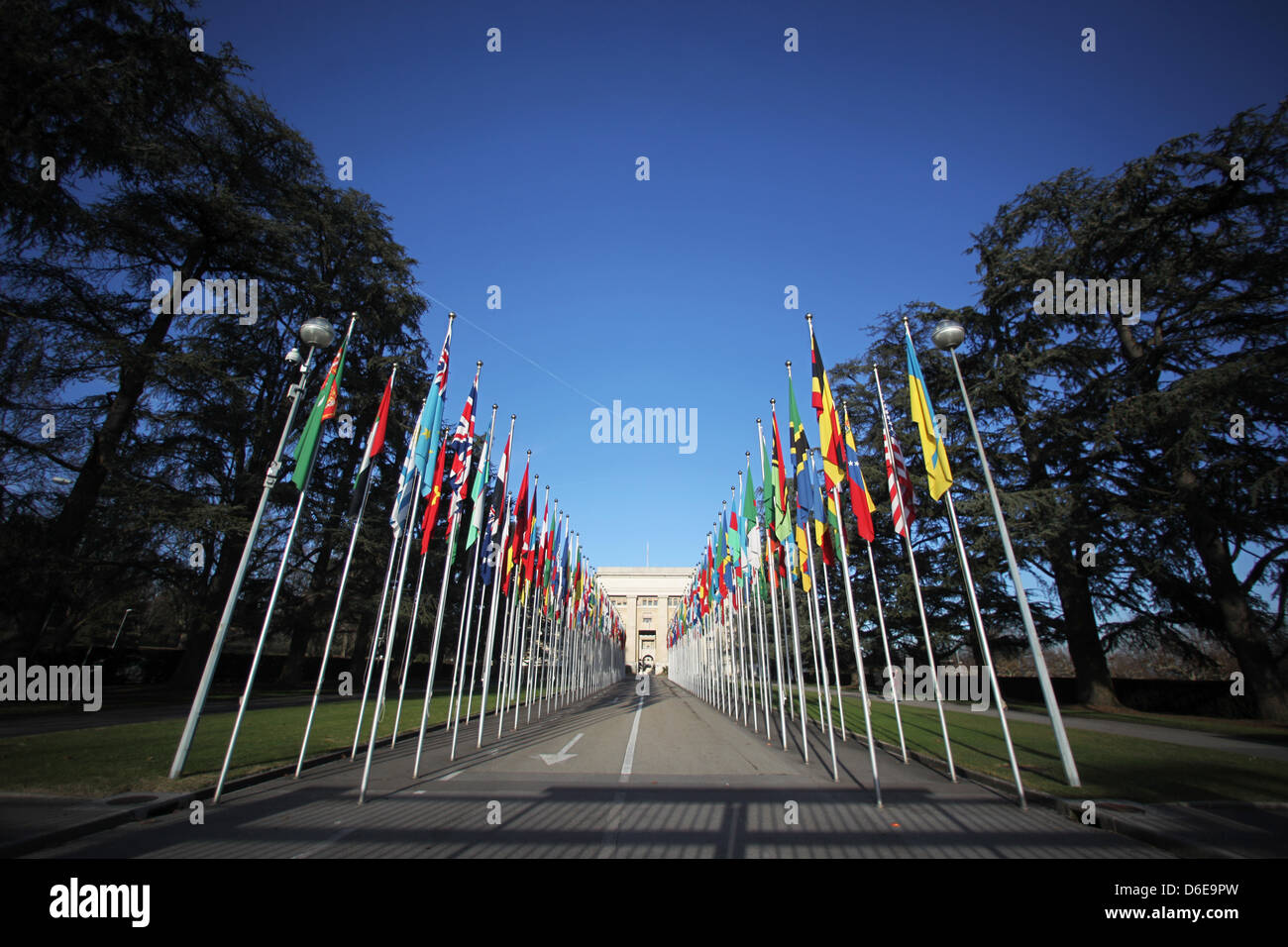 Linea di bandiere la strada all'ingresso dell'Ufficio delle Nazioni Unite a Ginevra, Svizzera, 26 dicembre 2011. Foto: Fredrik von Erichsen Foto Stock