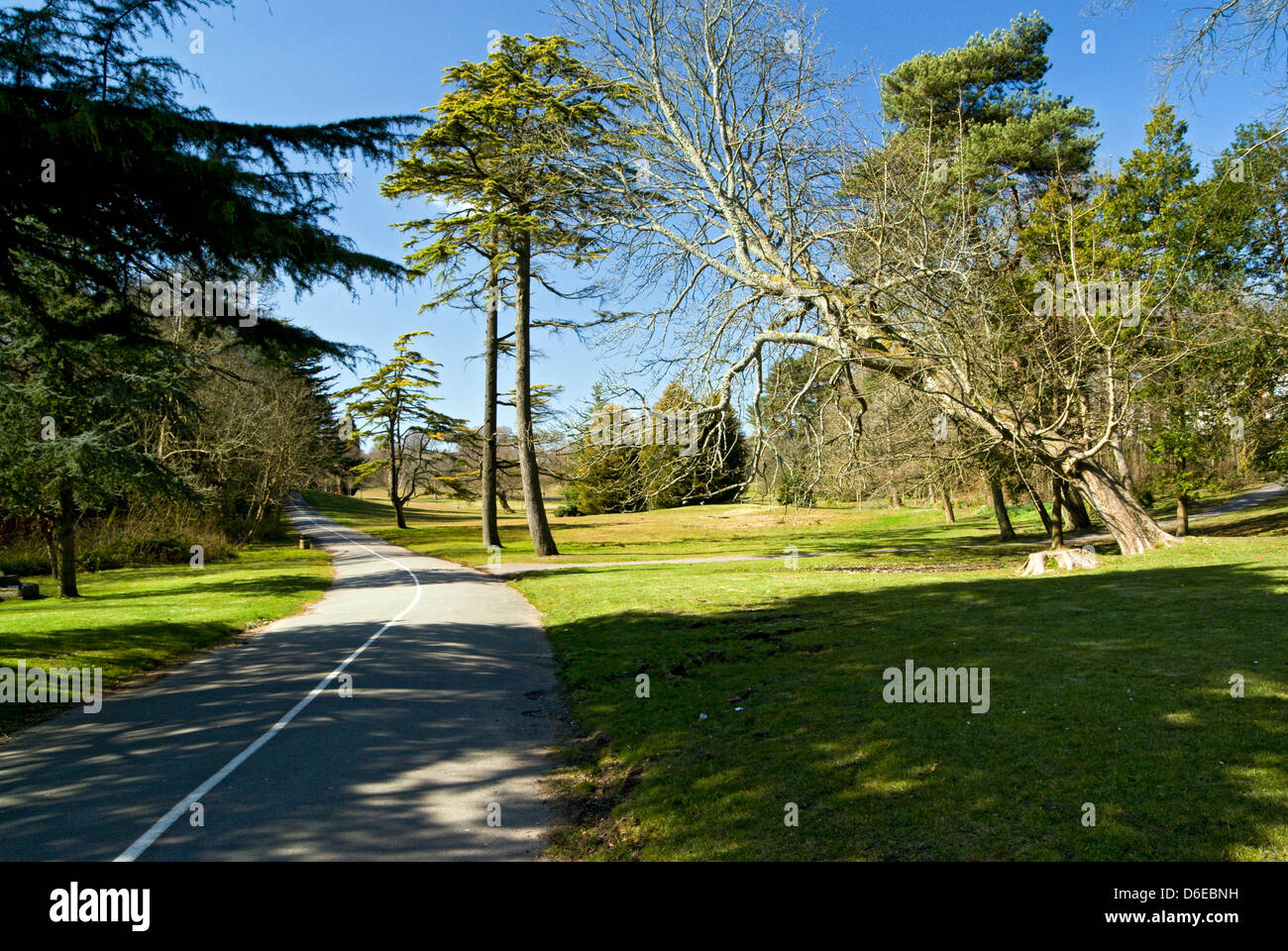 Parco singleton, Swansea, South wales, Regno Unito. Foto Stock