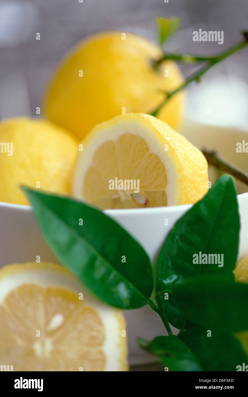 I limoni e foglie Foto Stock