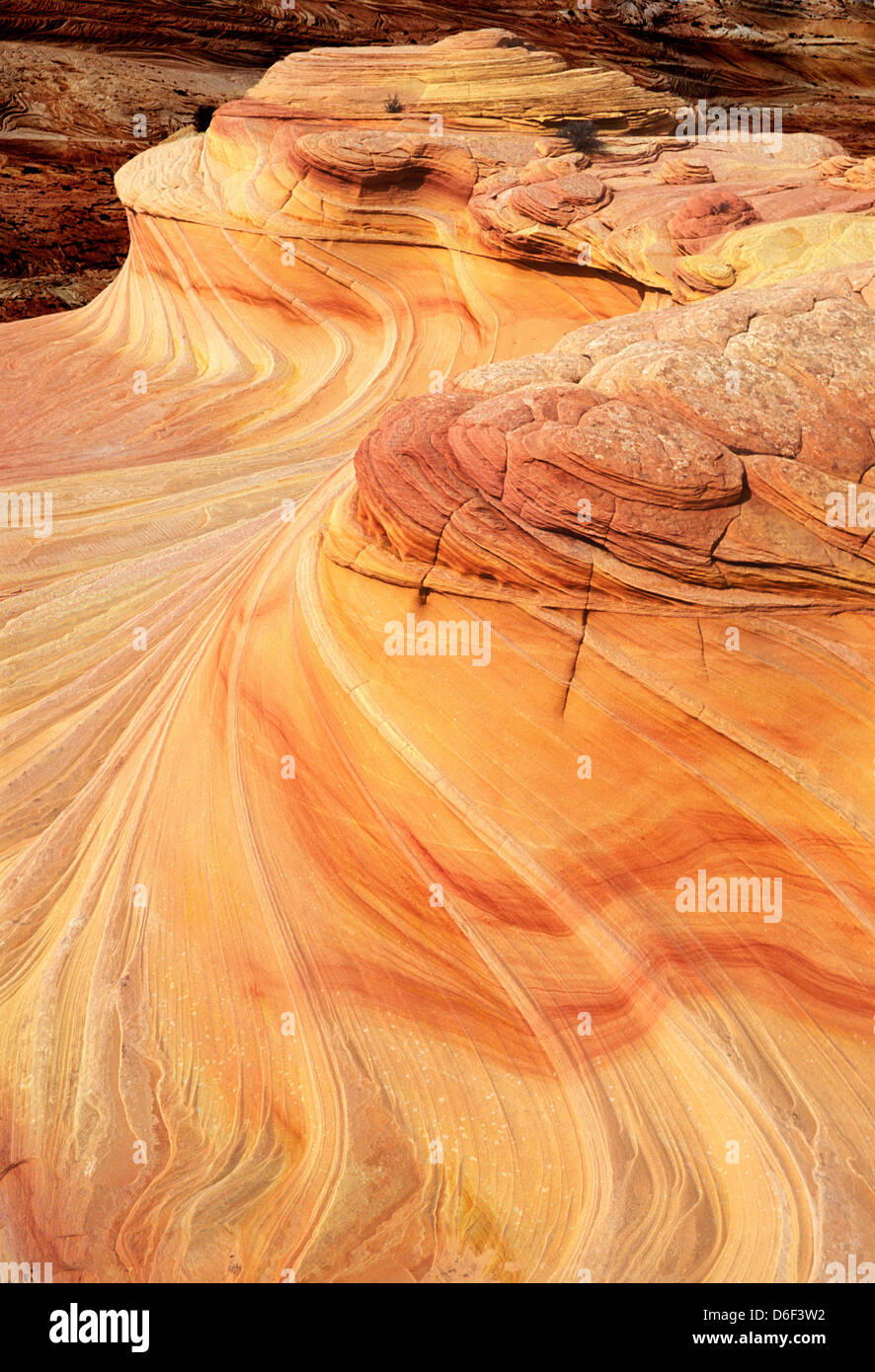 La seconda onda Swirls e modelli di pinne di arenaria nel coyote buttes nord conosciuto come la seconda onda vermillion scogliere deserto Arizona utah usa Foto Stock