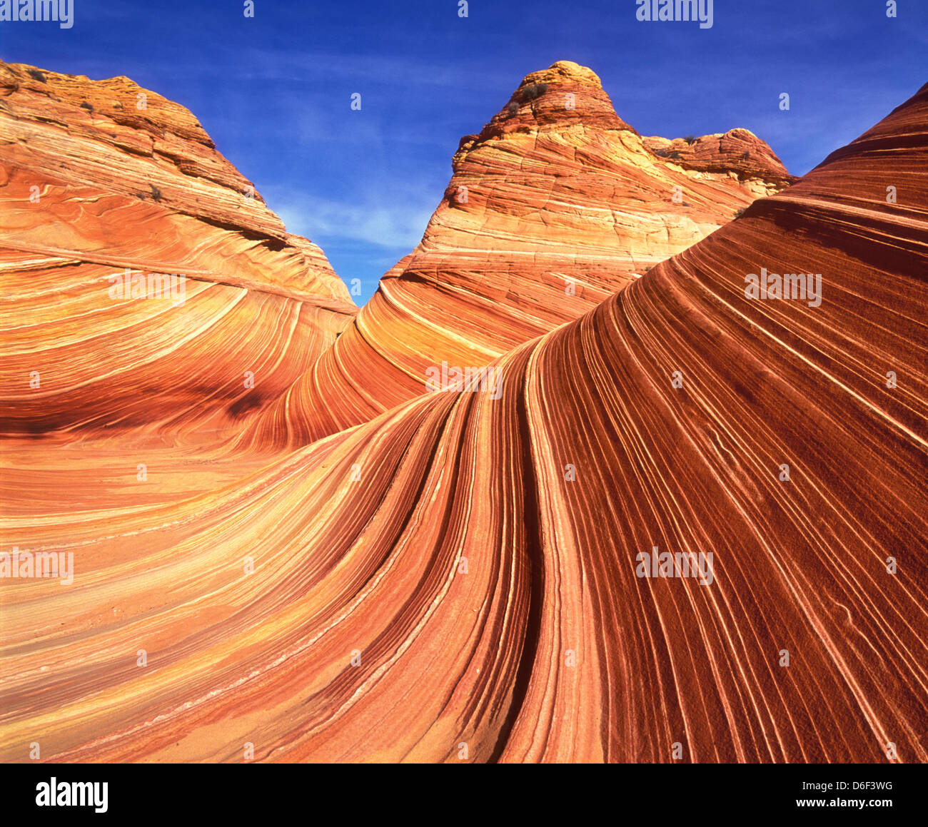 Volteggi e modelli di pinne di arenaria in coyote butte nord noto come l'onda sulla Scogliera Vermillion deserto Arizona USA Utah Foto Stock