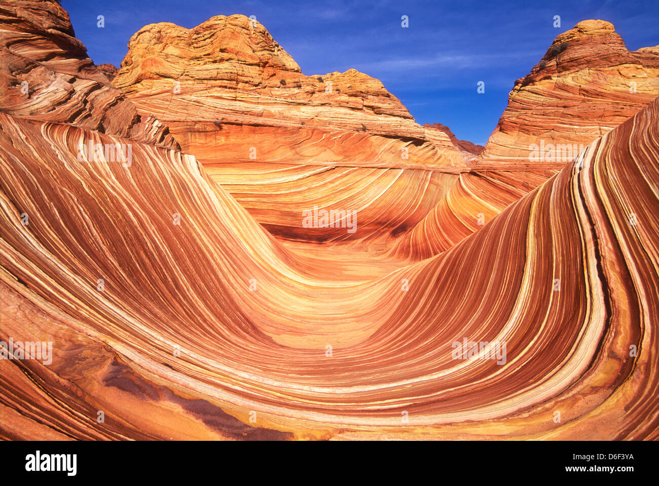 The Wave Swirls e modelli di pinne di arenaria in Coyote Buttes North conosciuta come l'area Wave Vermillion Cliffs Wilderness Arizona Utah USA Foto Stock