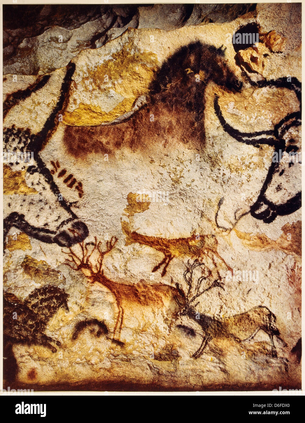 I dipinti rupestri di vari animali, Lescaux, Francia Foto Stock