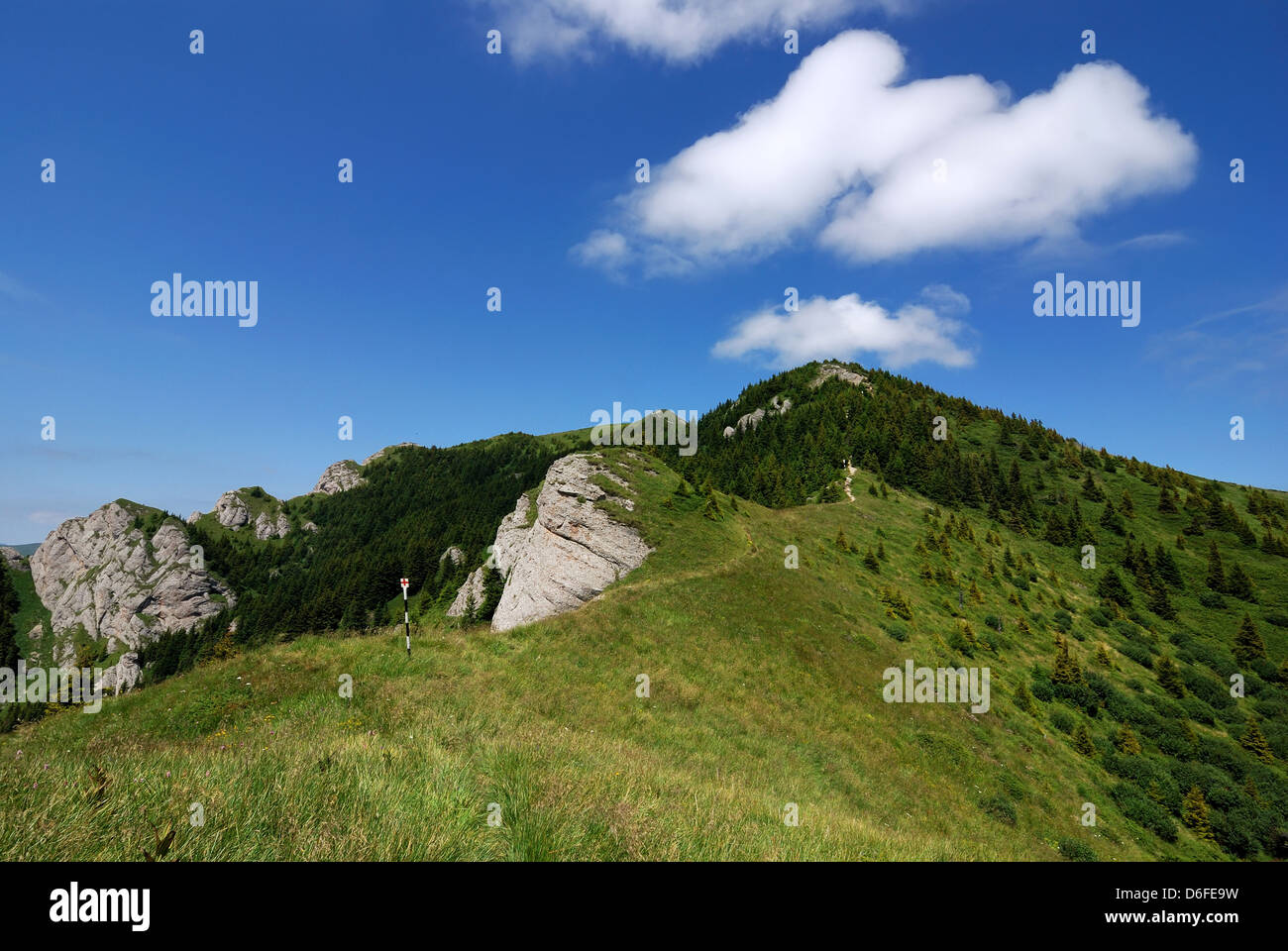 Scenario naturale nelle montagne dei Carpazi, ridge in Romania, Europa. Montagne Ciucas. Foto Stock